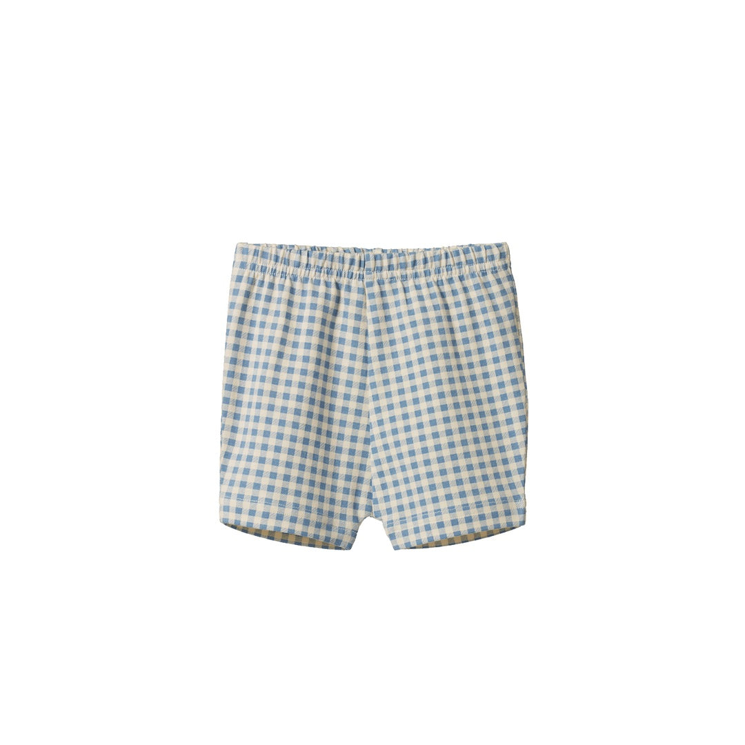 Selby Shorts | Blue Gingham image 1