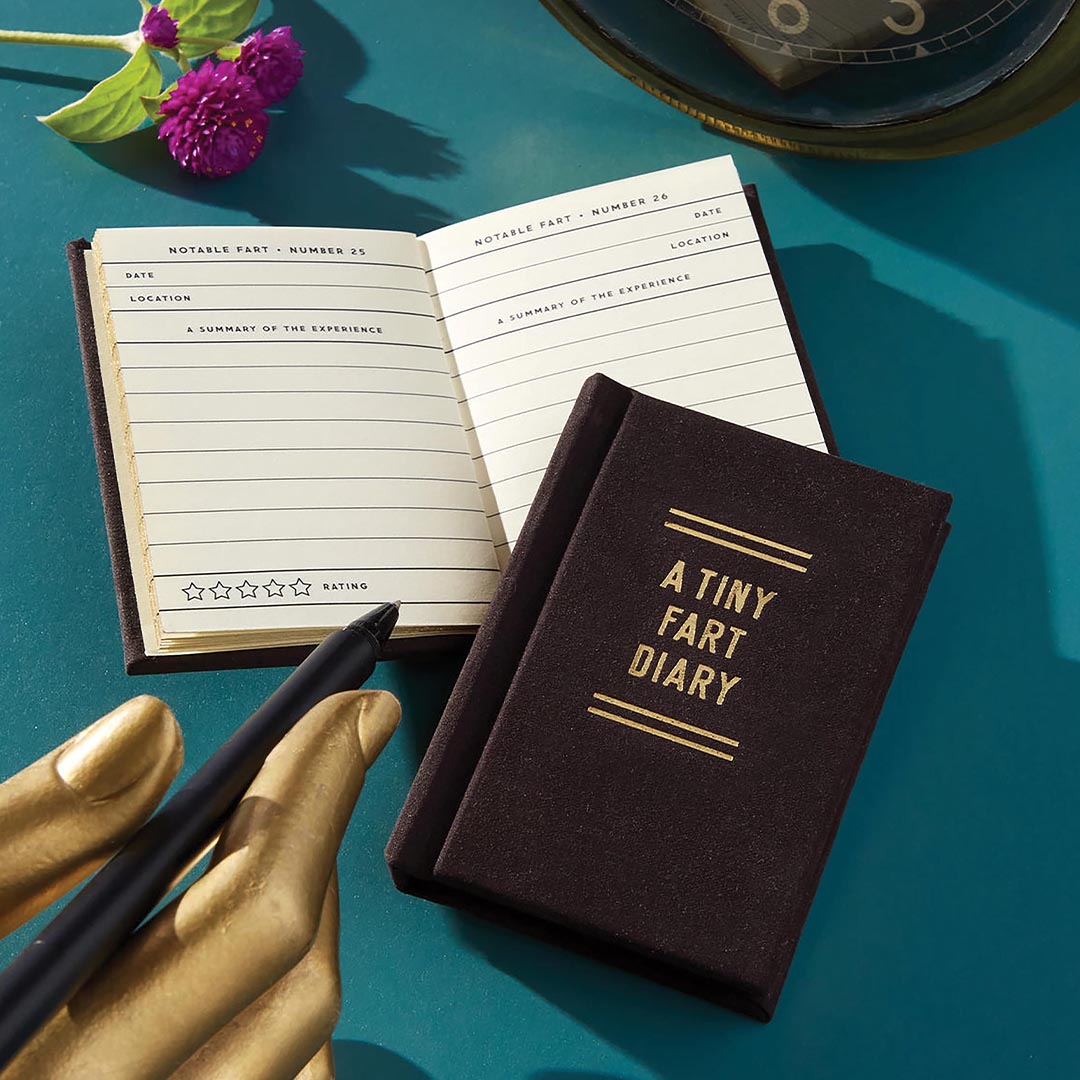 A Tiny Diary | Fart Diary