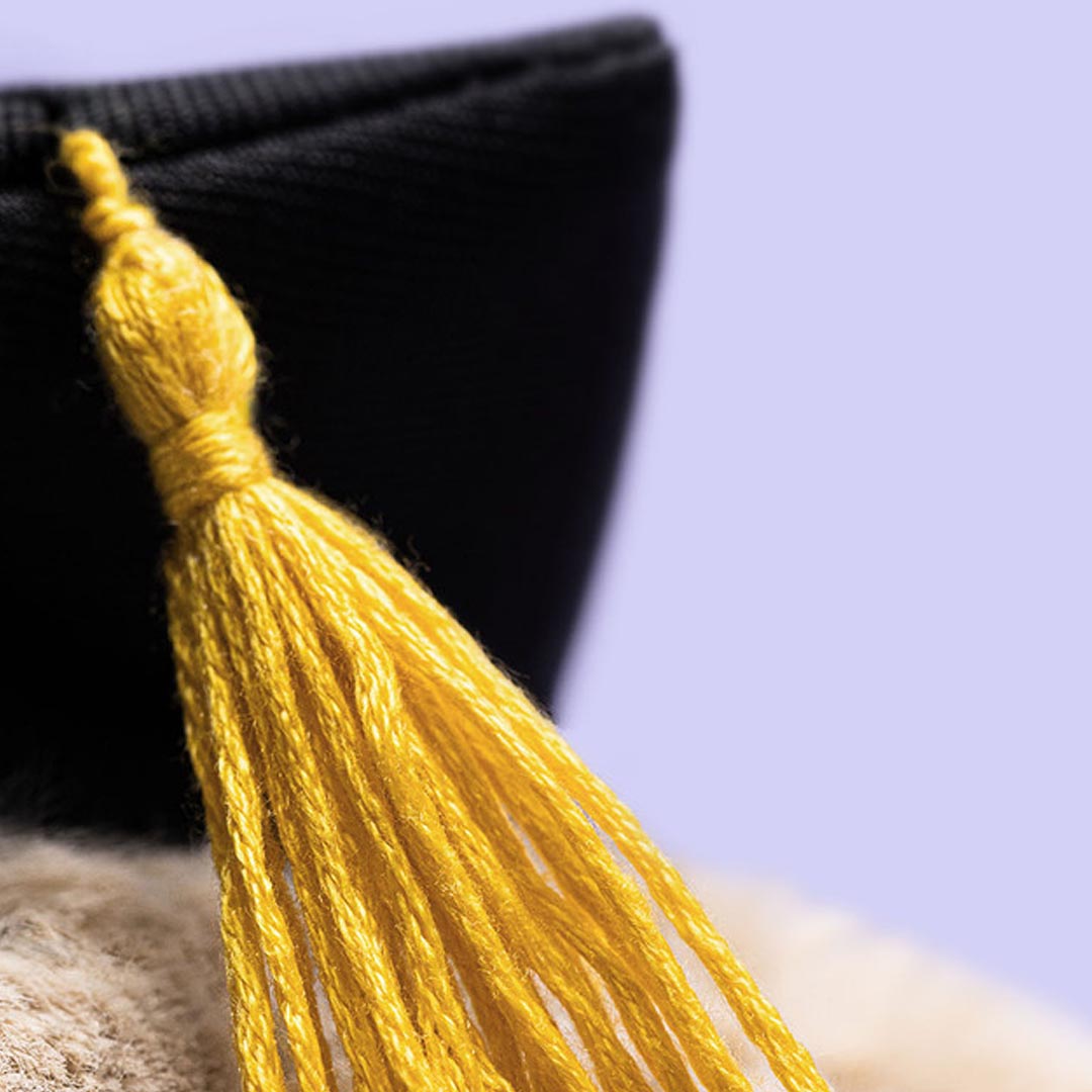 Bashful Bunny | Graduation Outfit