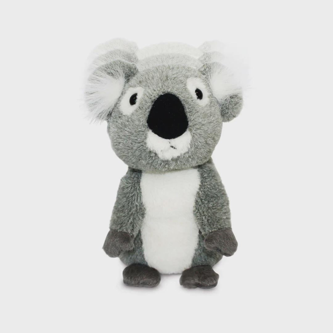 Chattermate | Koala