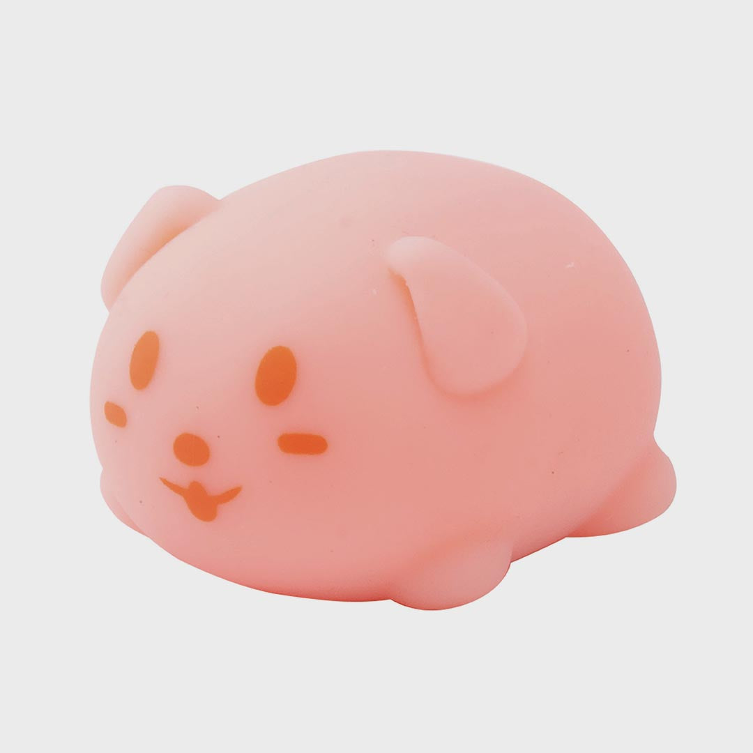 Glow in The Dark Squishy Pets