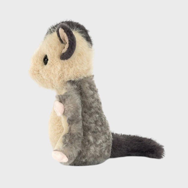 Lolly Sugar Glider
