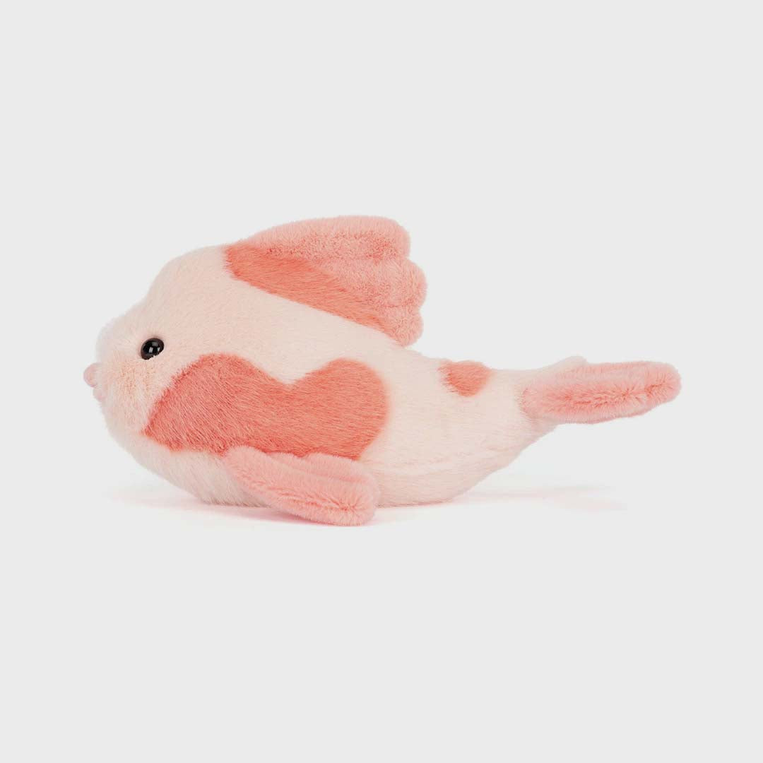 Fancy Carp