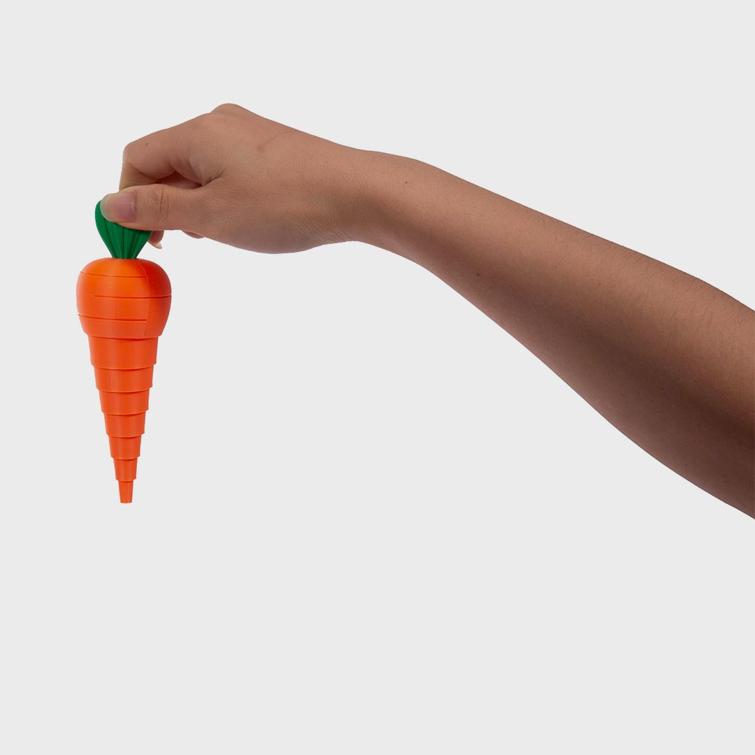 Sensory Carrot