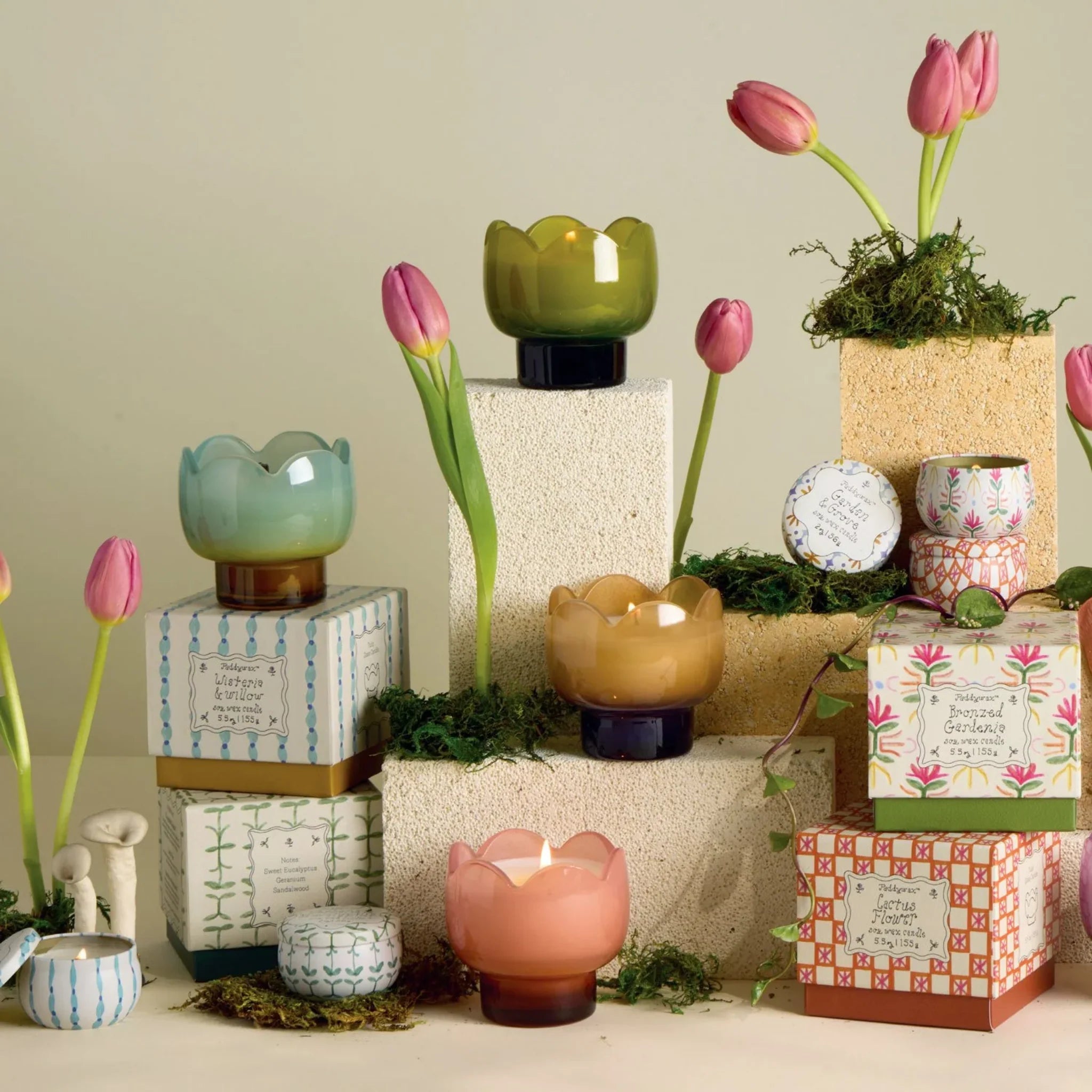 Tulip 5.5oz Glass Candle | Verbena & Lemongrass