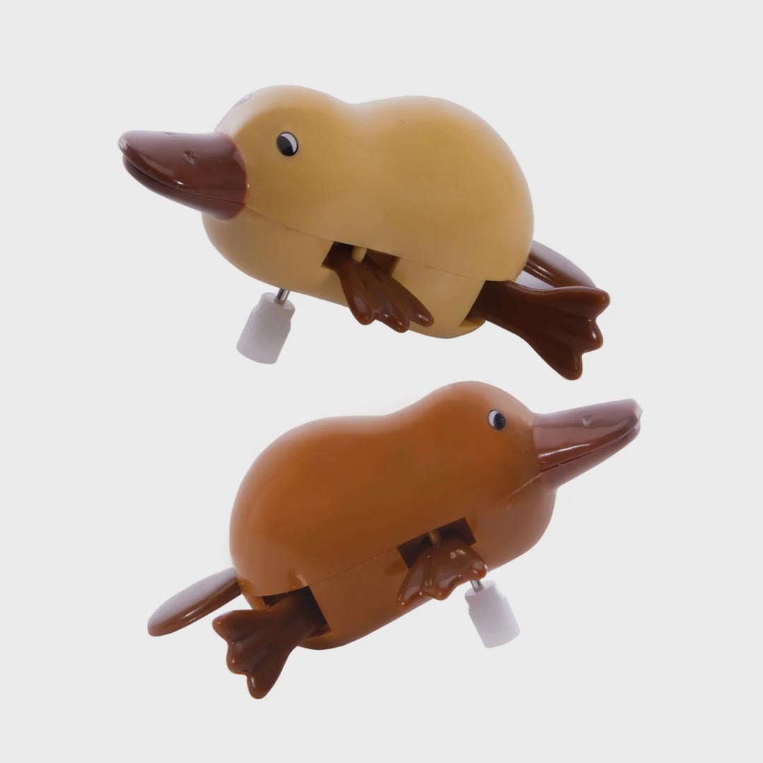 Wind Up Toy | Paddling Platypus