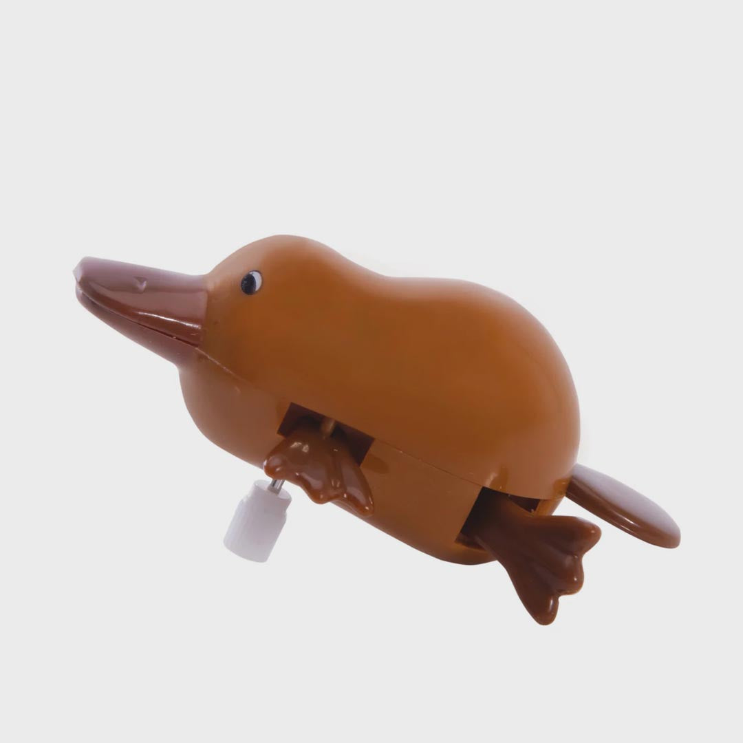Wind Up Toy | Paddling Platypus