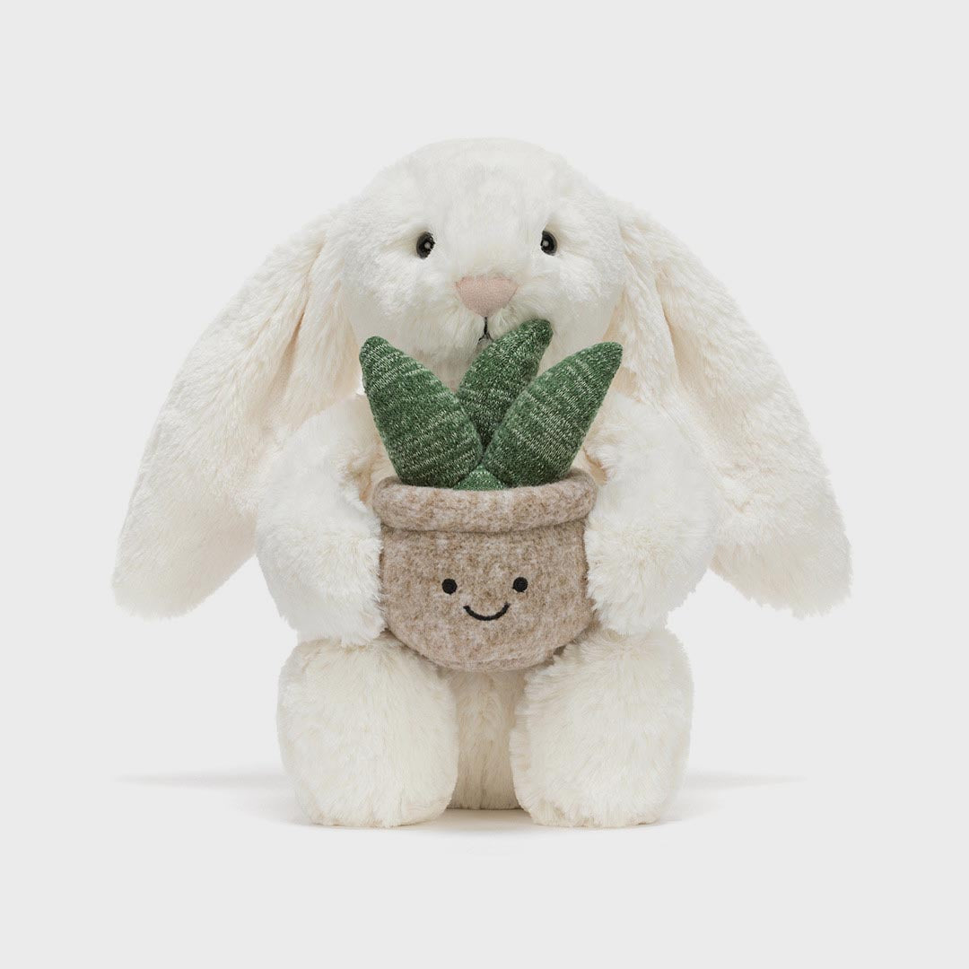 Bashful Bunny | Plant