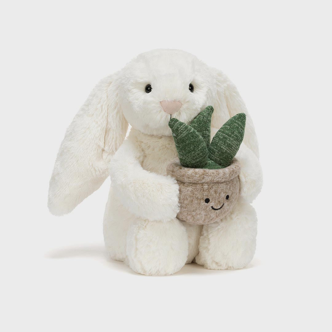 Bashful Bunny | Plant