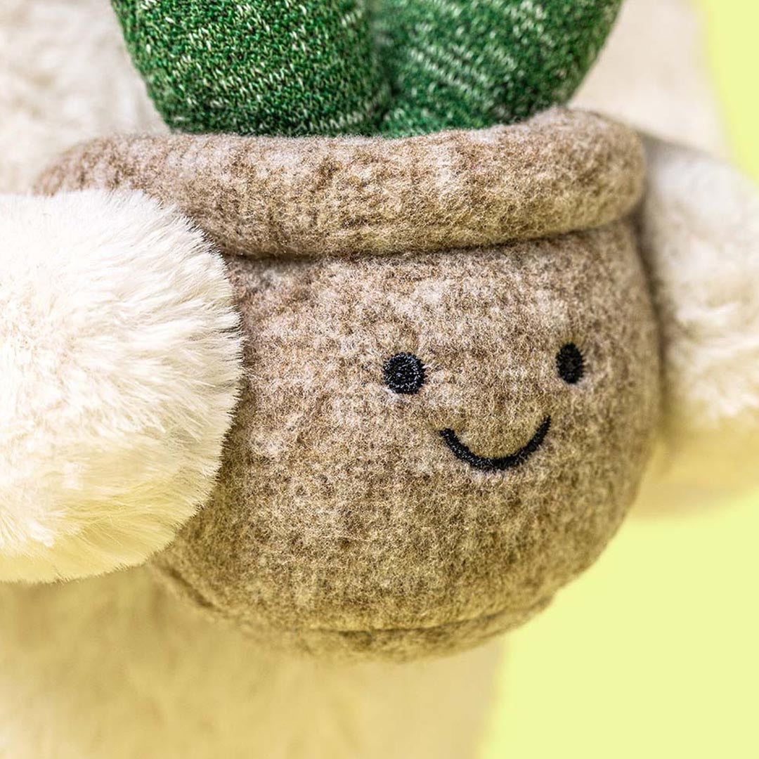 Bashful Bunny | Plant