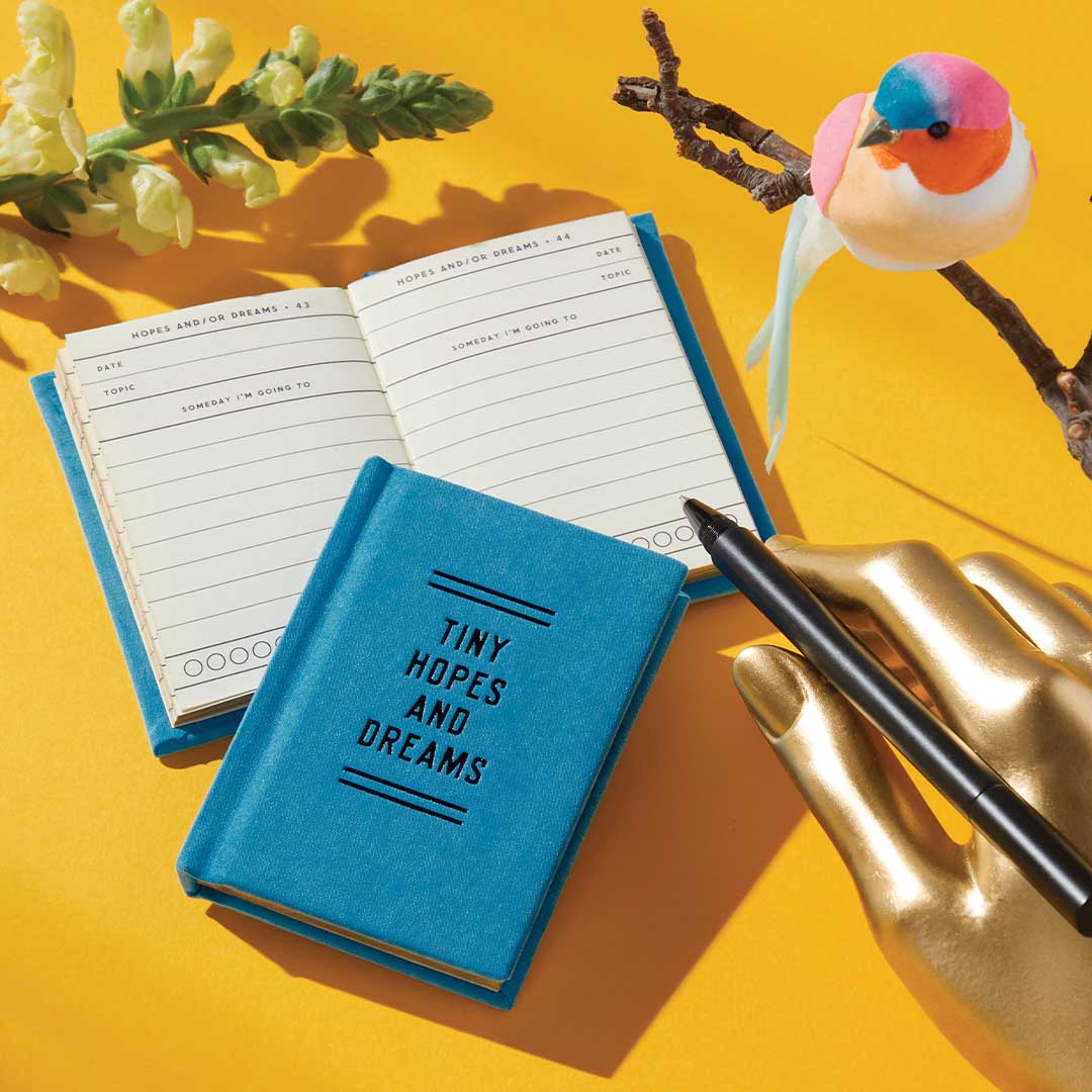 A Tiny Diary | Tiny Hopes and Dreams