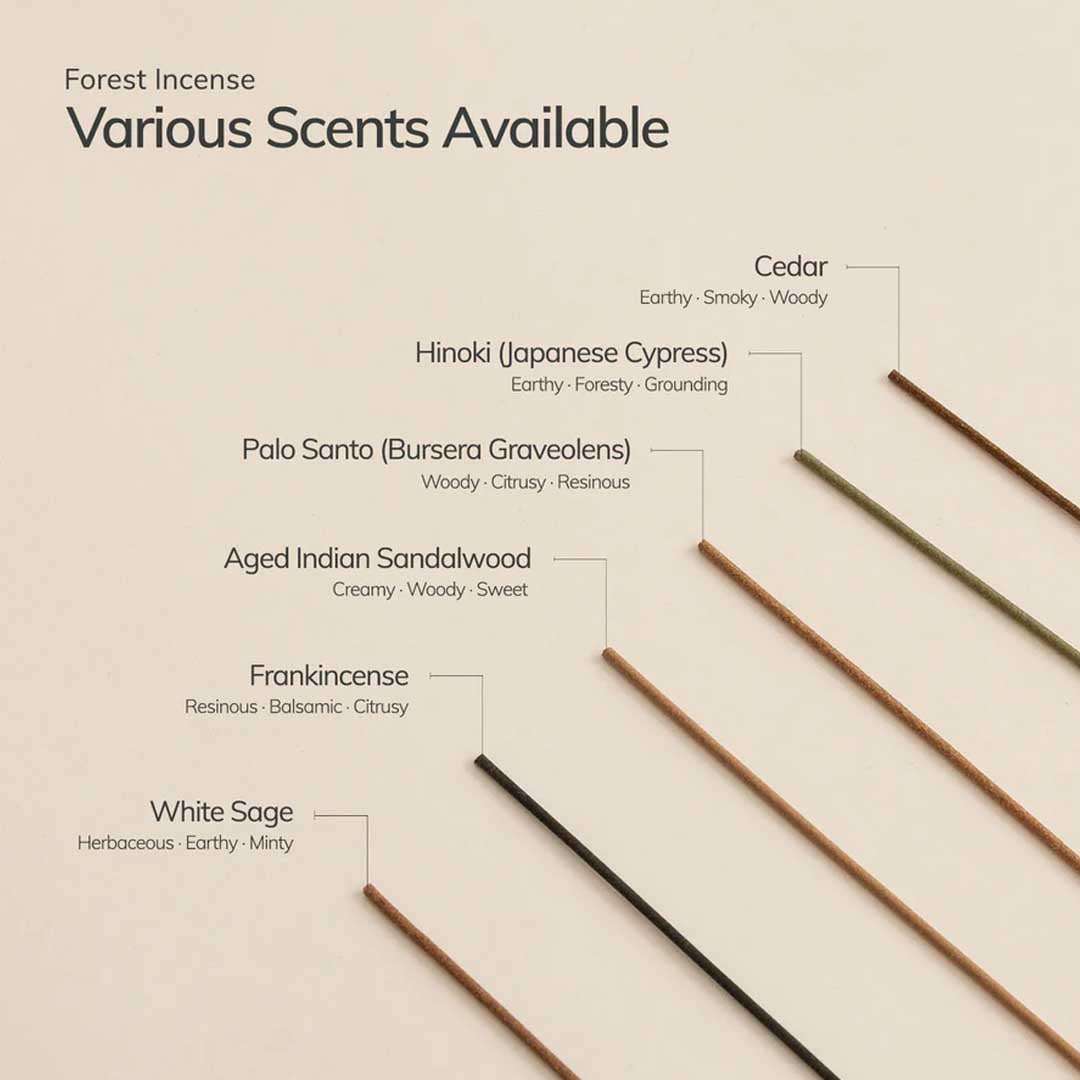 Aged Indian Sandalwood Incense Stick Set | 30 Sticks