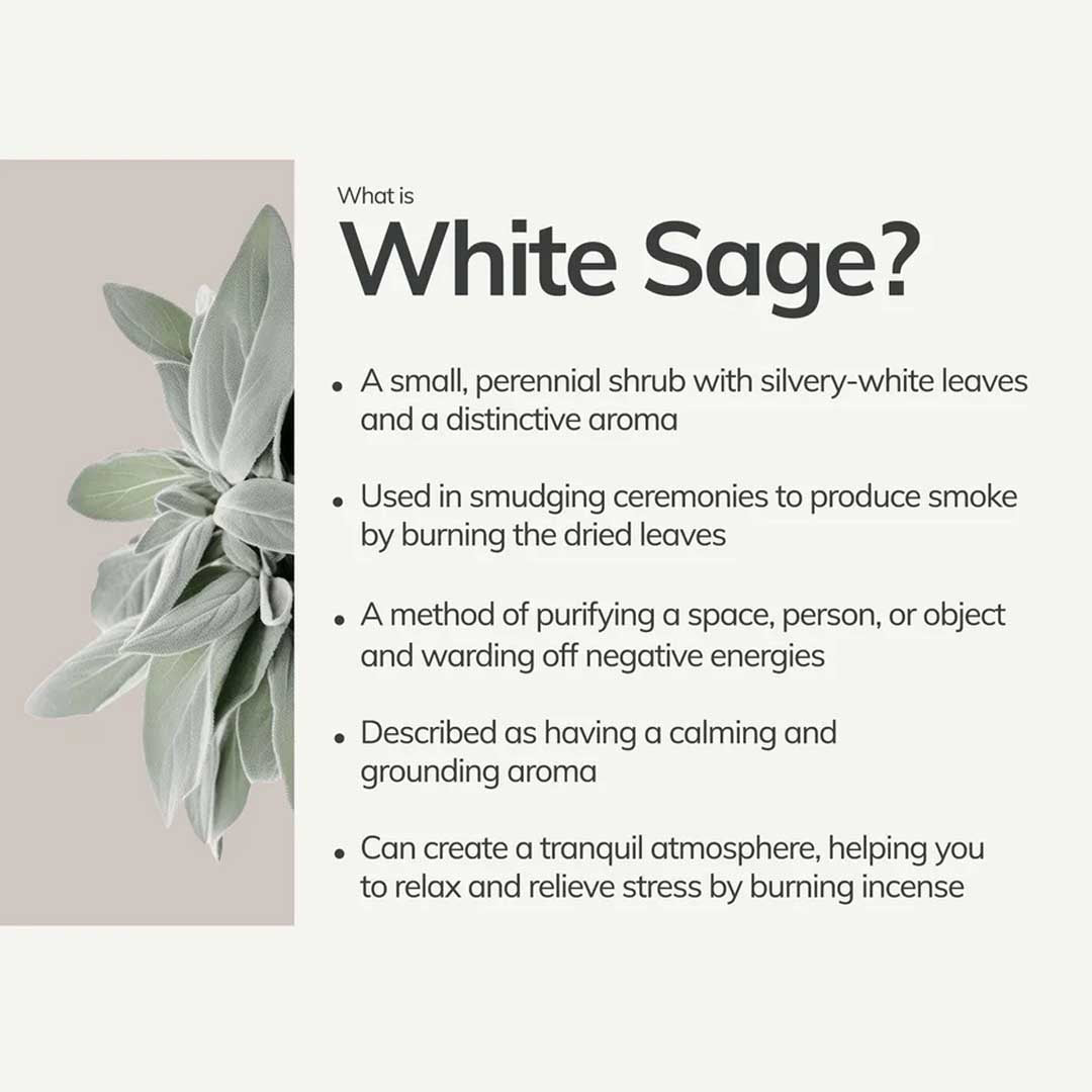 White Sage Incense | 7 Hand-Rolled Sticks