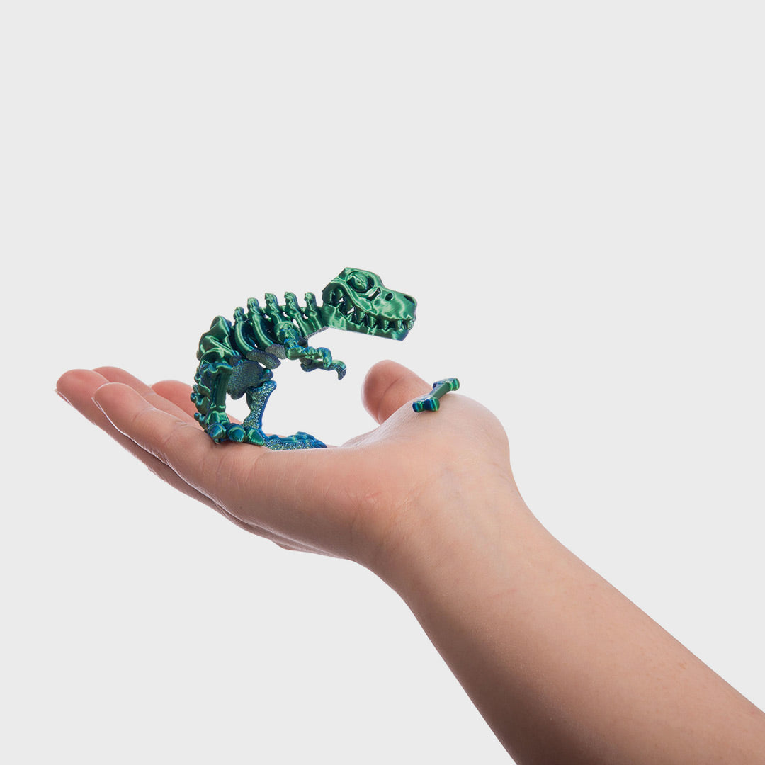3D Sensory Dinosaurs | Multi Colour