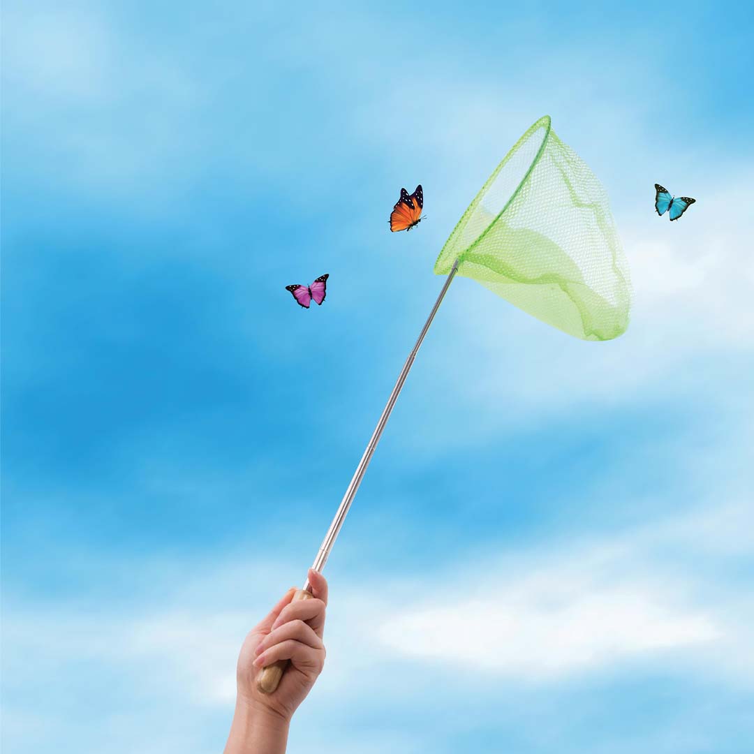 Telescopic Net