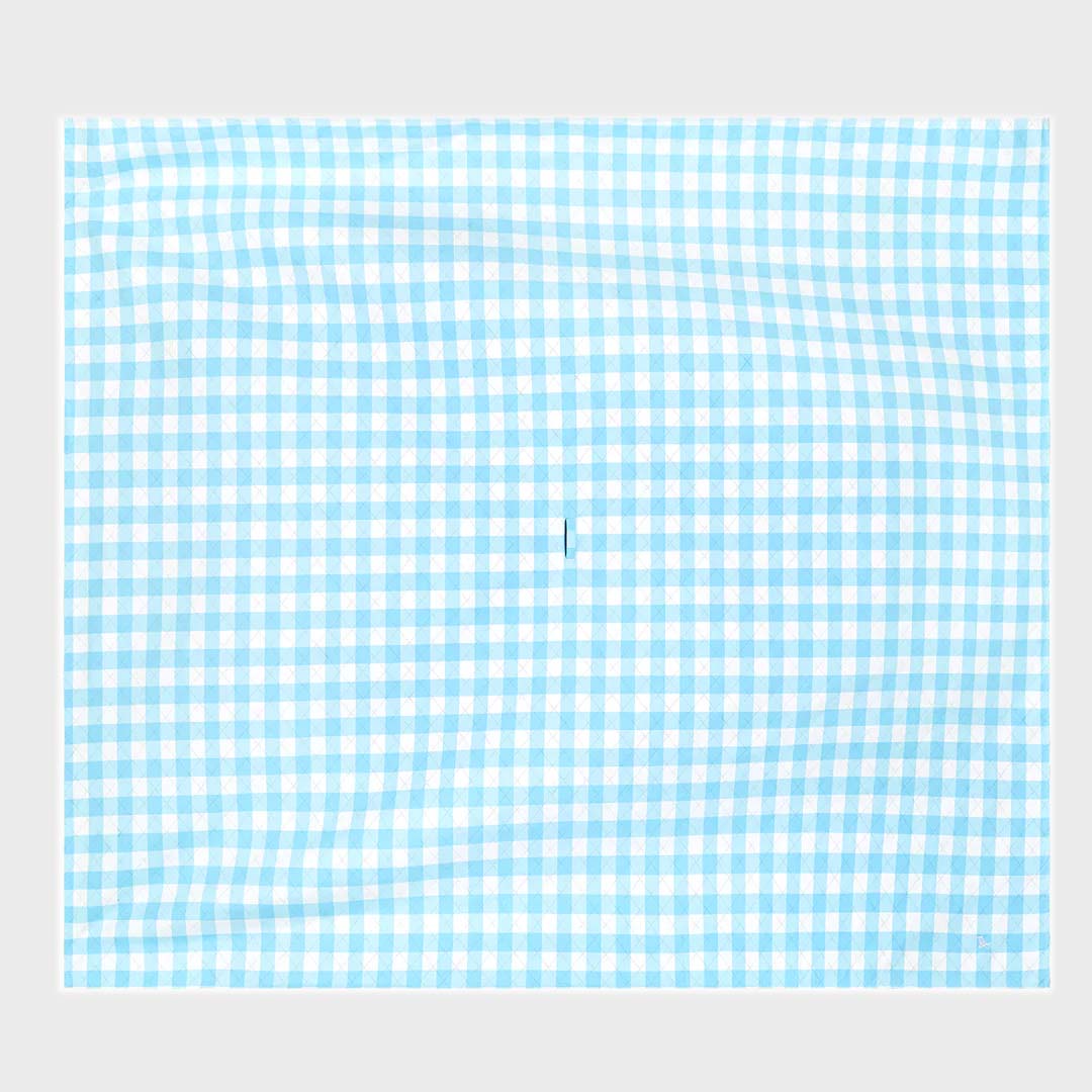 PICNIC BLANKET | BLUEBERRY PIE