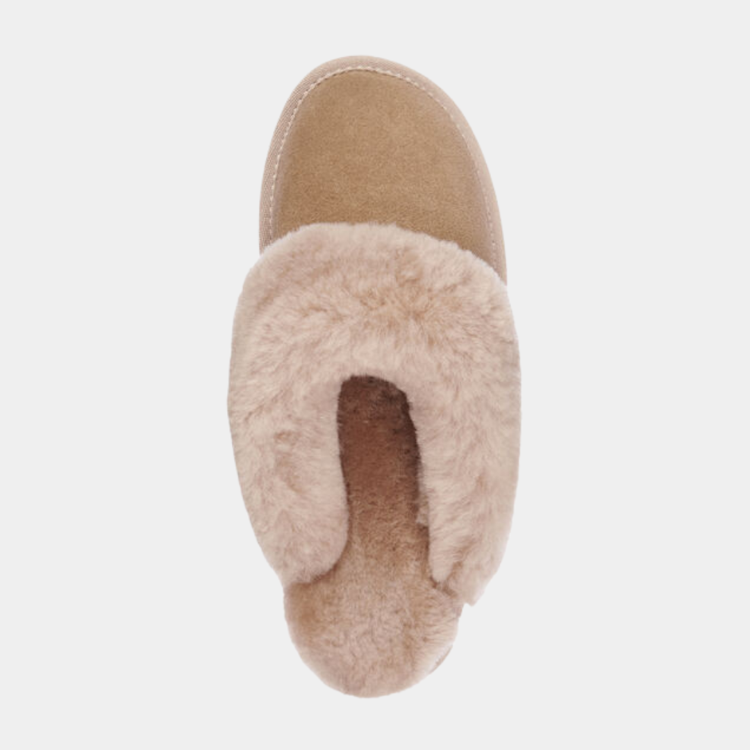 JOLIE | CAMEL