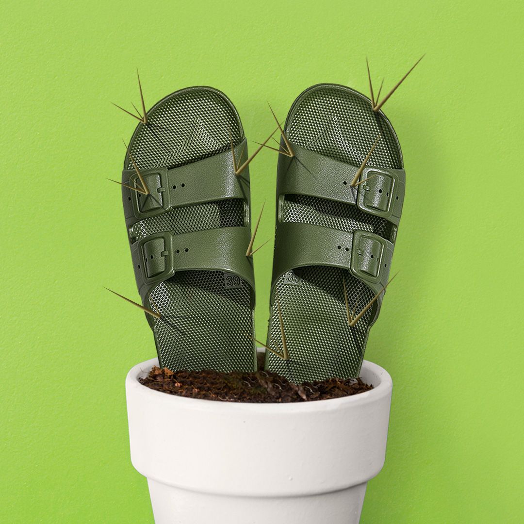 FM BASIC SLIDE | CACTUS