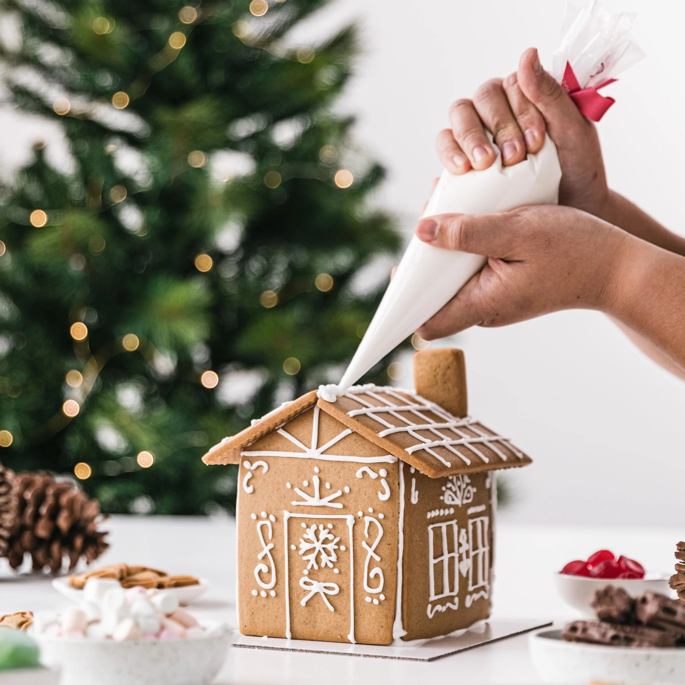 GINGERBREAD HOUSE KIT