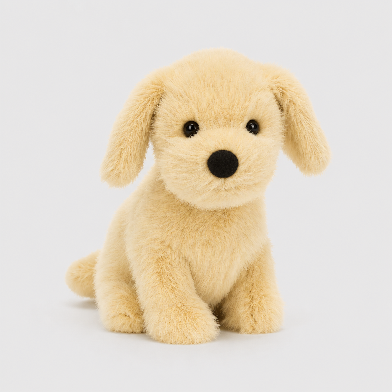 Golden Puppy