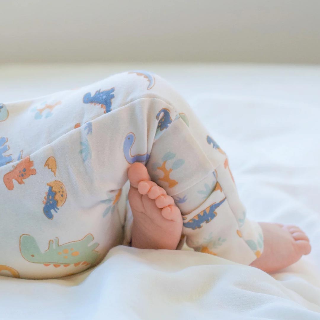 Harvest LS Onesie | Dino Bubs