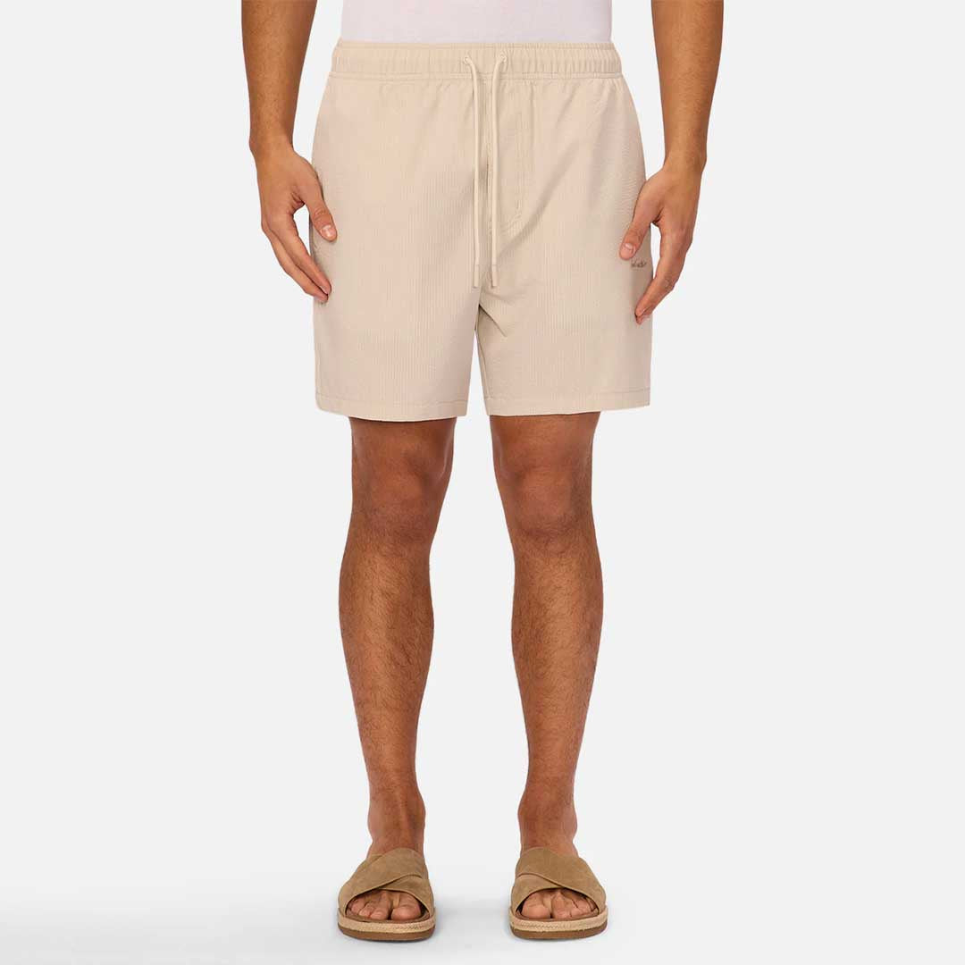 The New Seersucker | Canvas