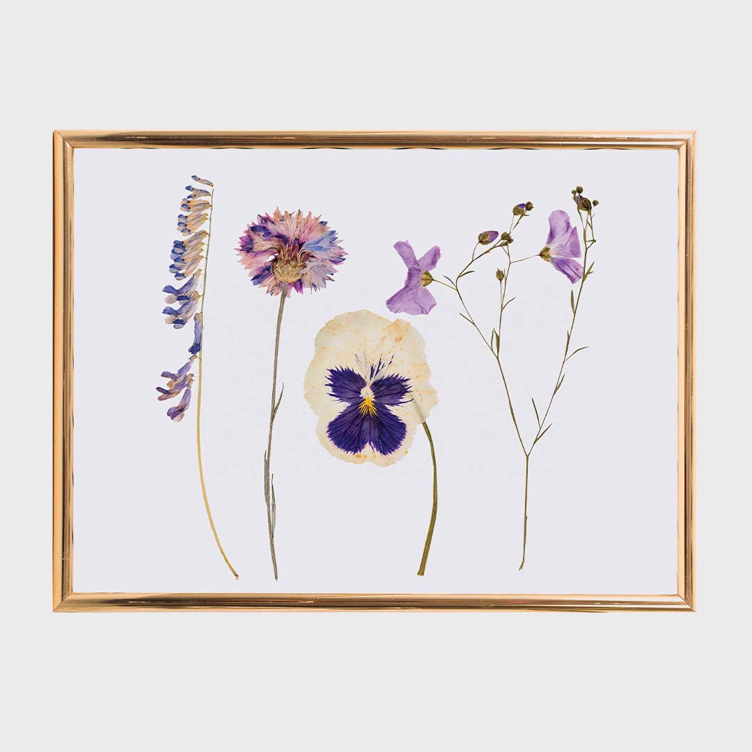 CLASSIC FLOWER PRESS