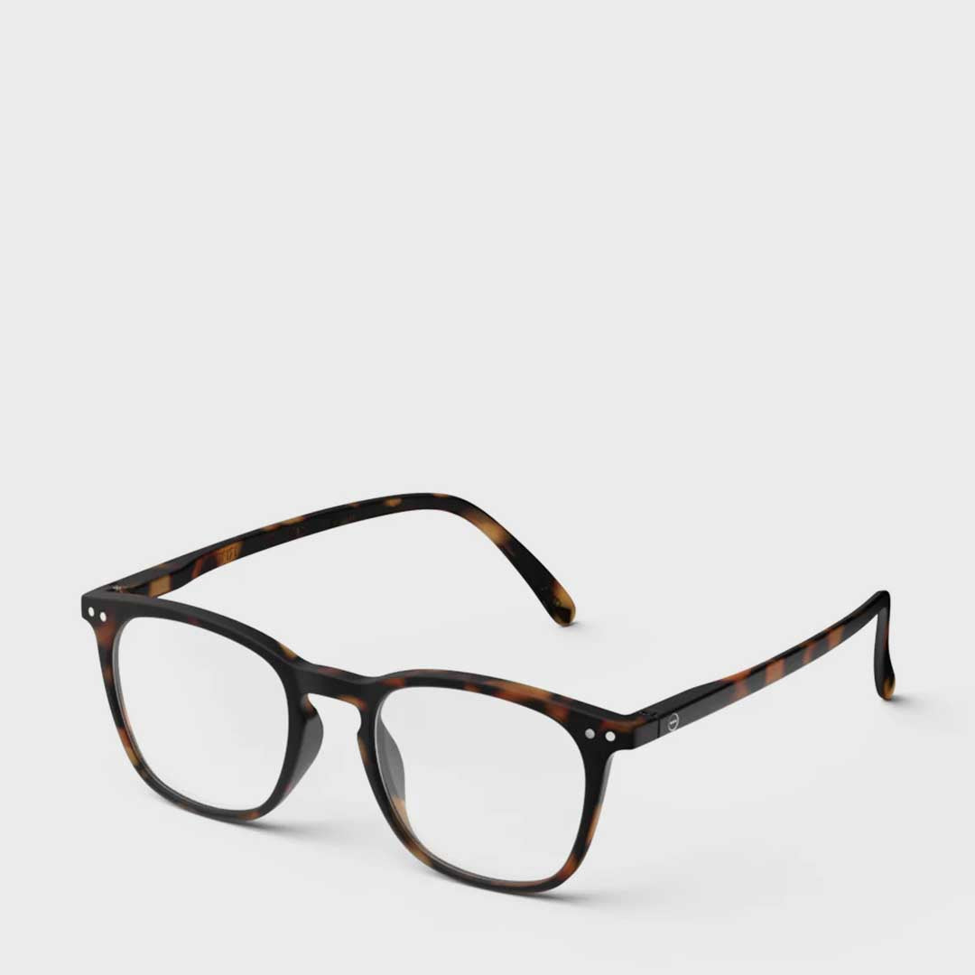 Reading Collection E | Tortoise