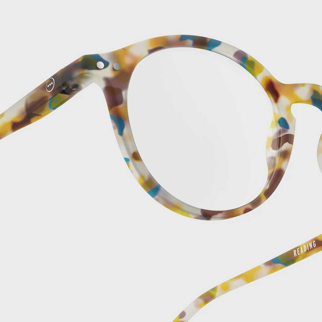 Reading Collection D | Blue Tortoise