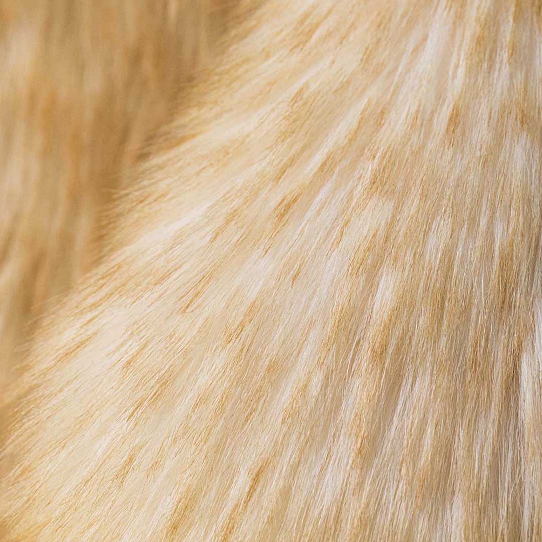 Springlowe Luxe Bunny | Big