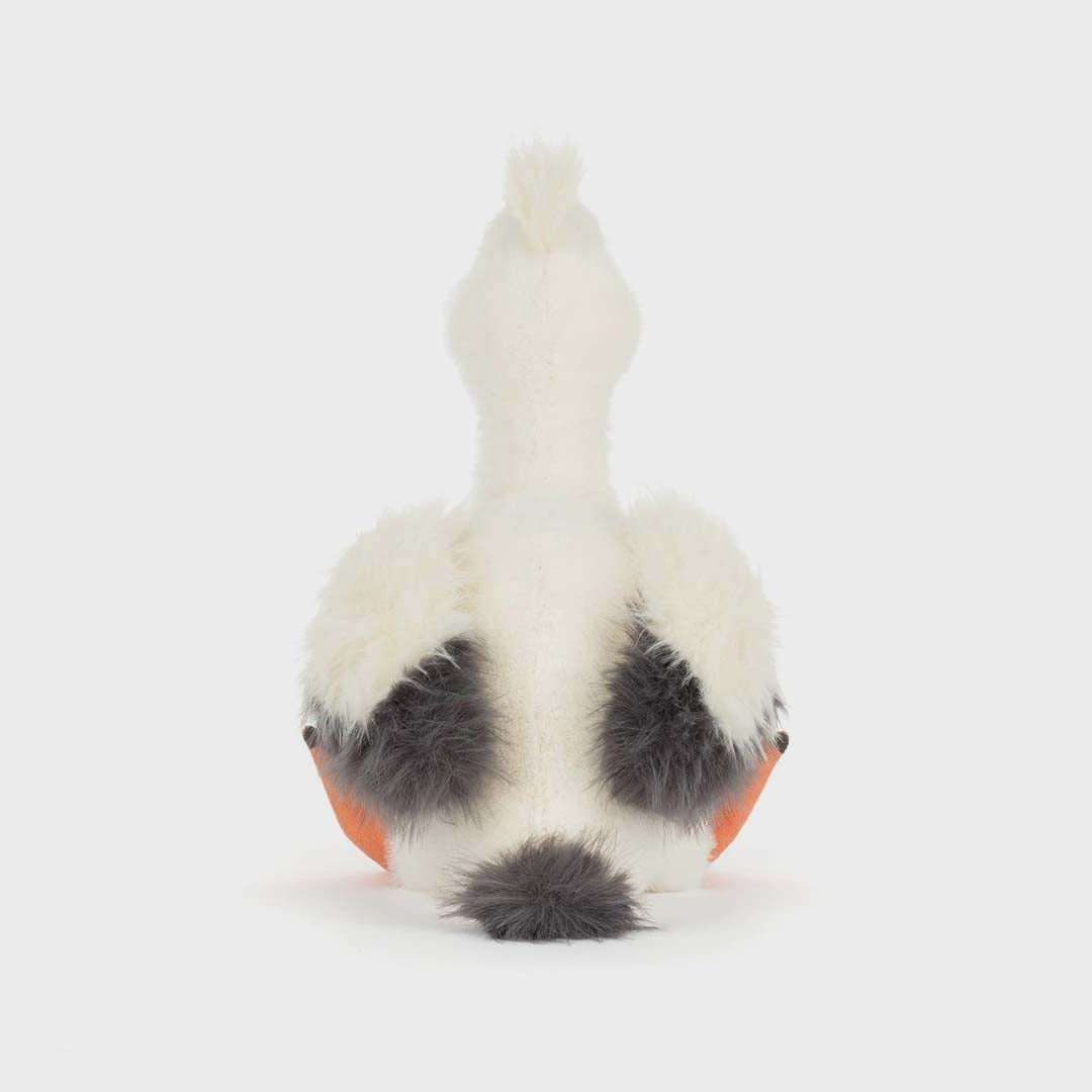 Keli Pelican