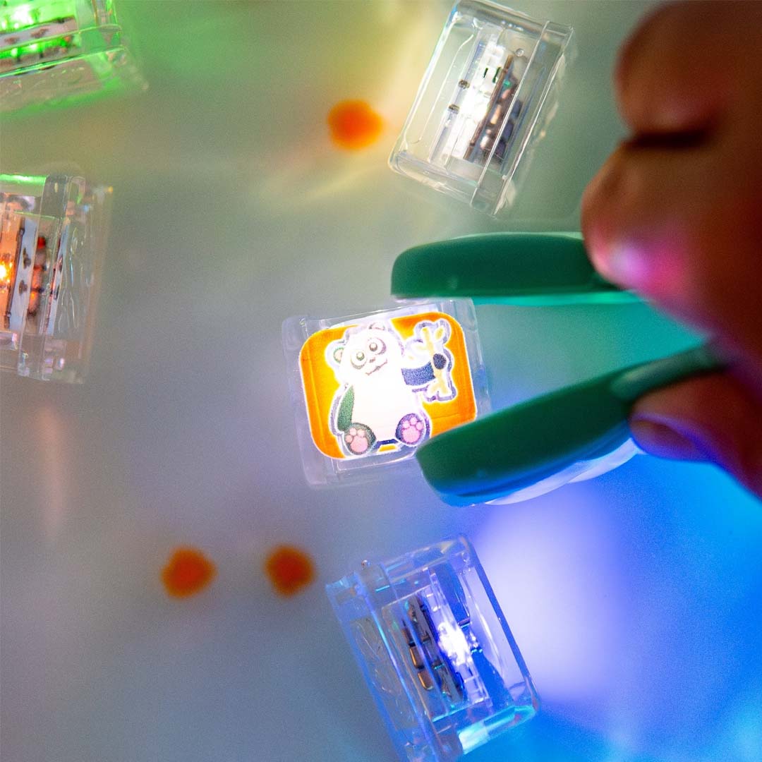 Limited Edition Light-Up Cubes | Zoo Animals