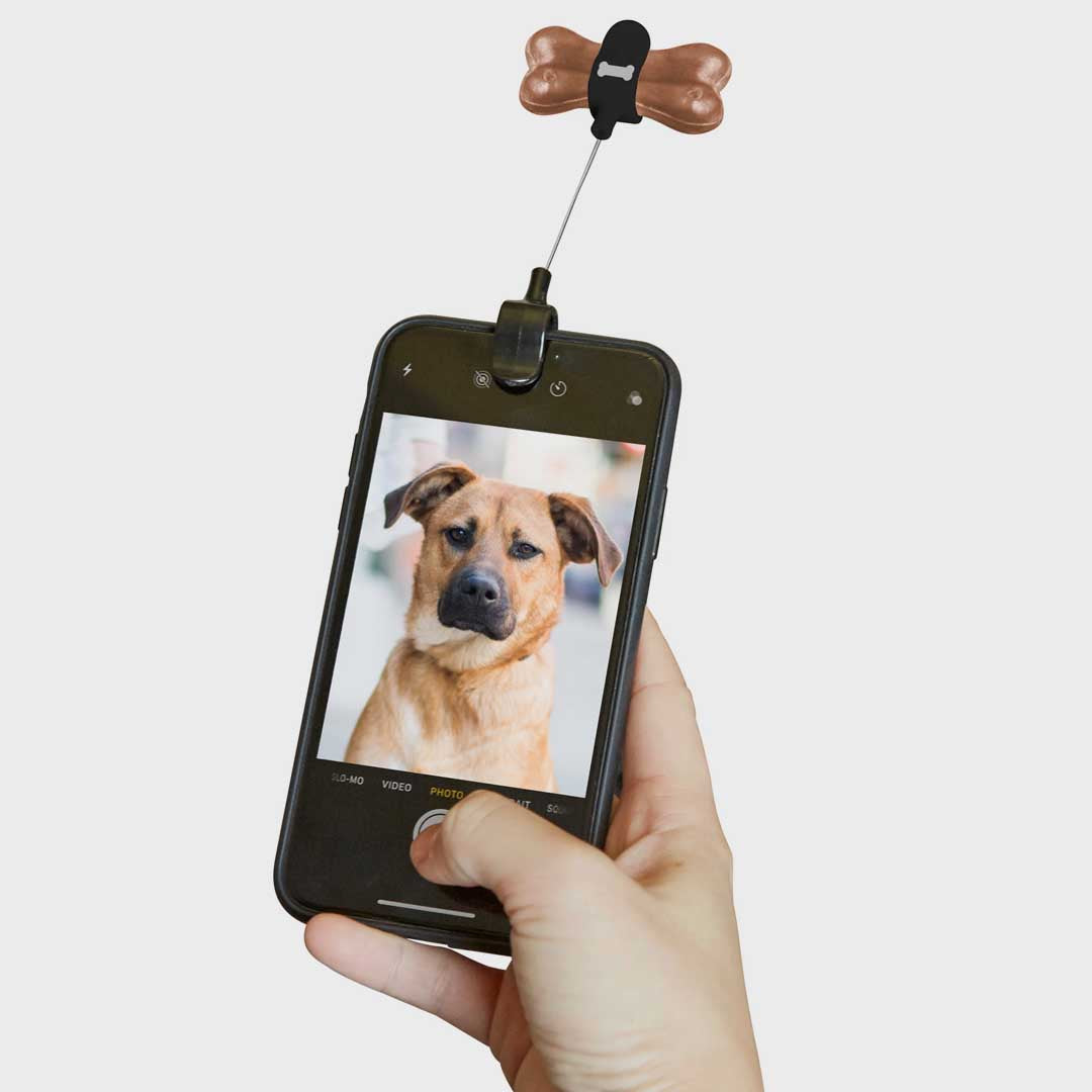 Kobe Dog Treat Selfie Clip