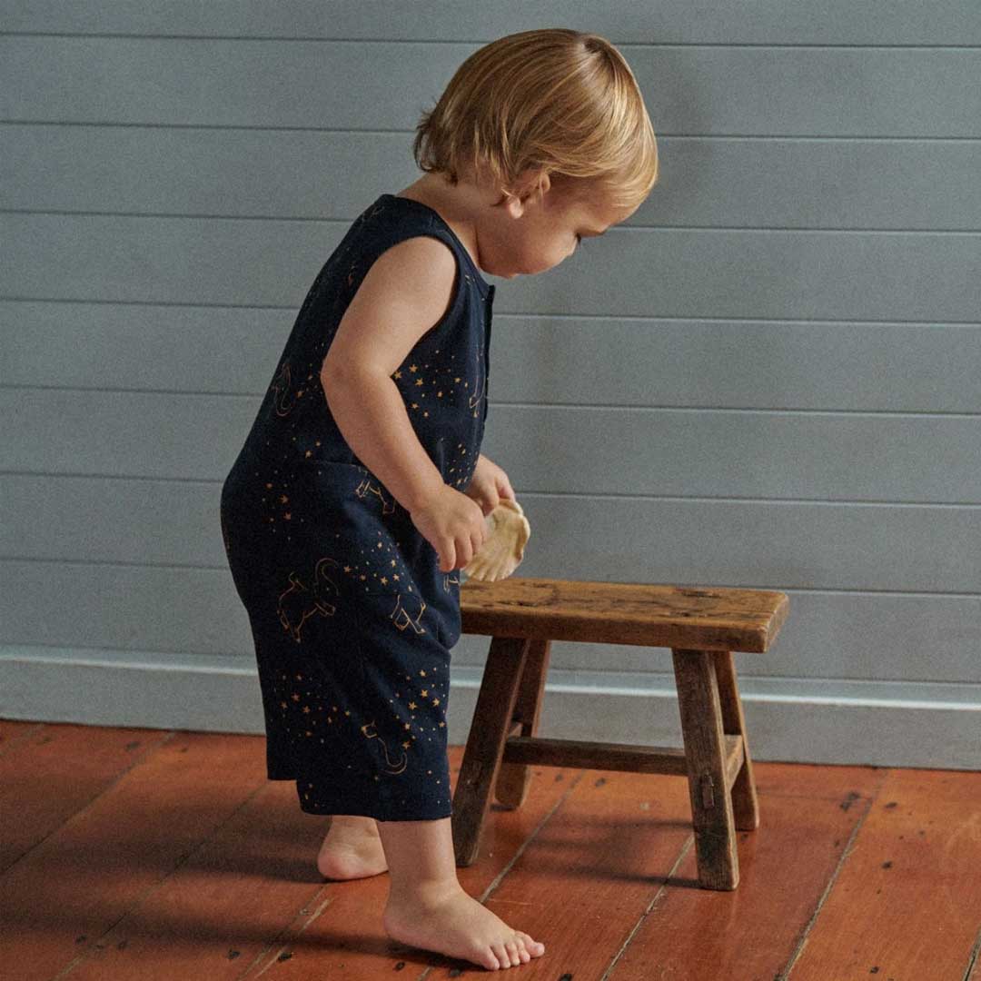 Camper Suit | Fairground Navy
