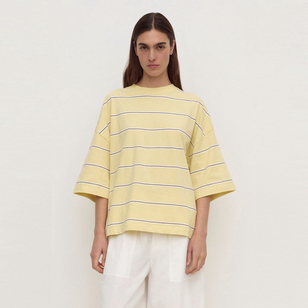 Assembly Label Nora Cotton Stripe Oversized Tee in Rind Stripe