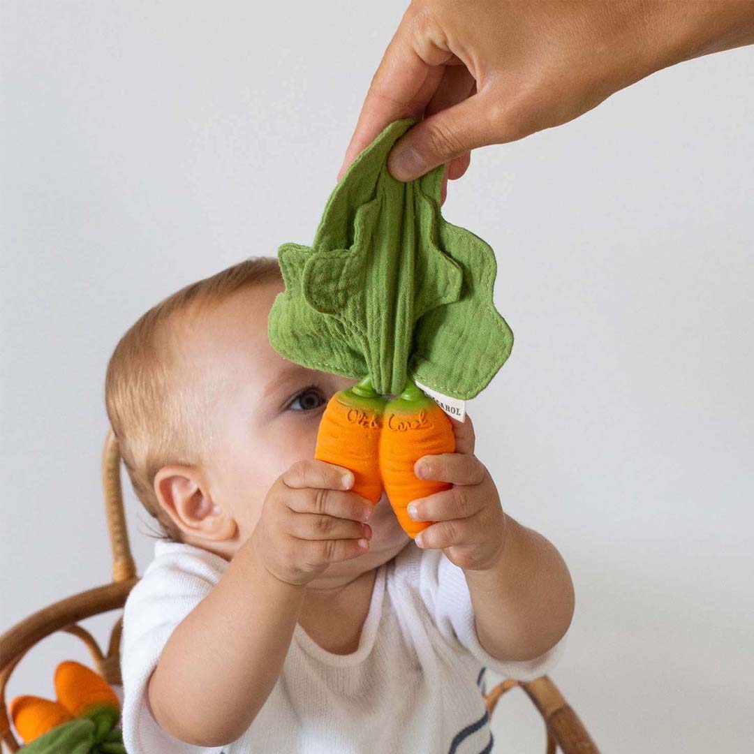 Cathy the Carrot Mini Doudou-Teether