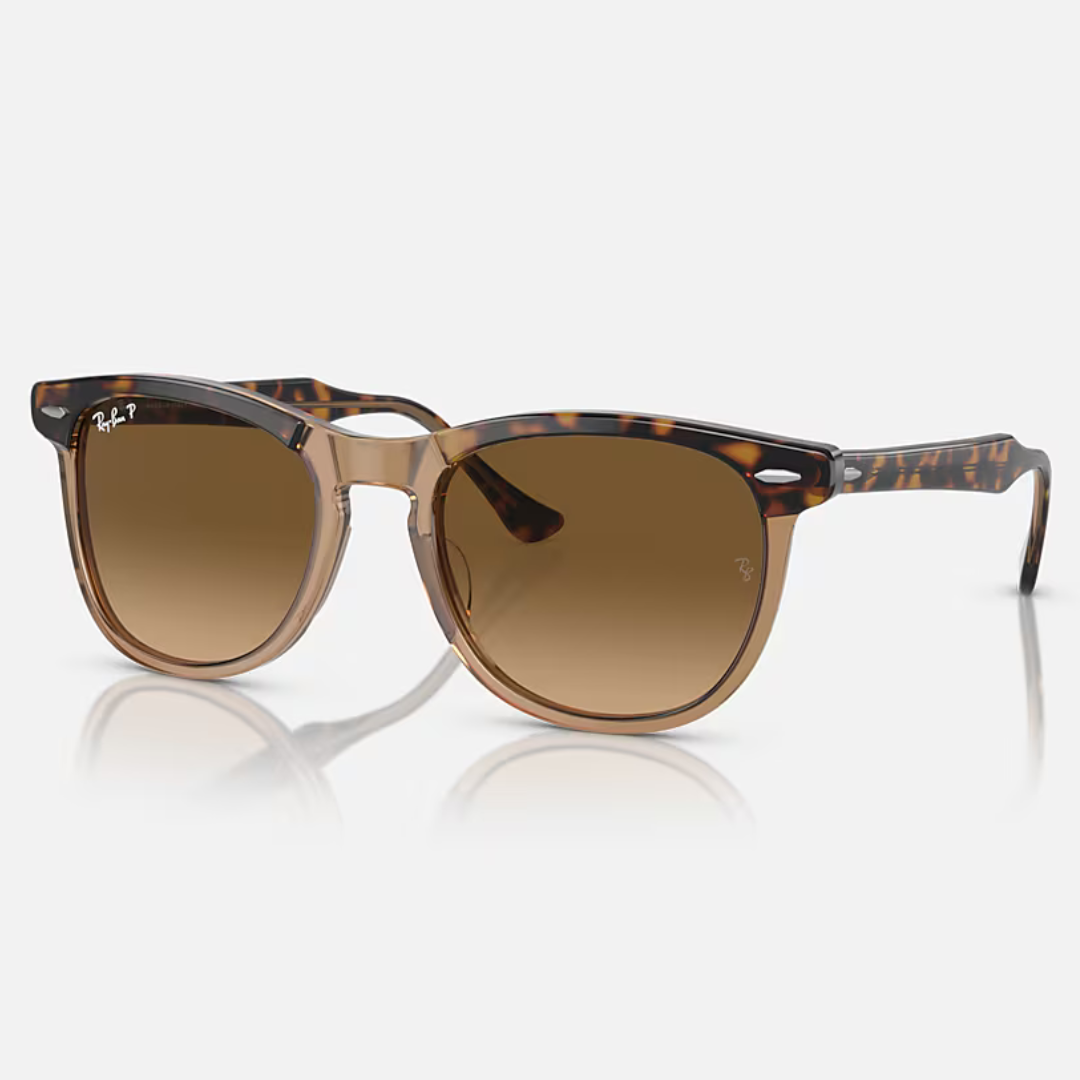 RB2398 EAGLE EYE | HAVANA on TRANSPARENT BROWN