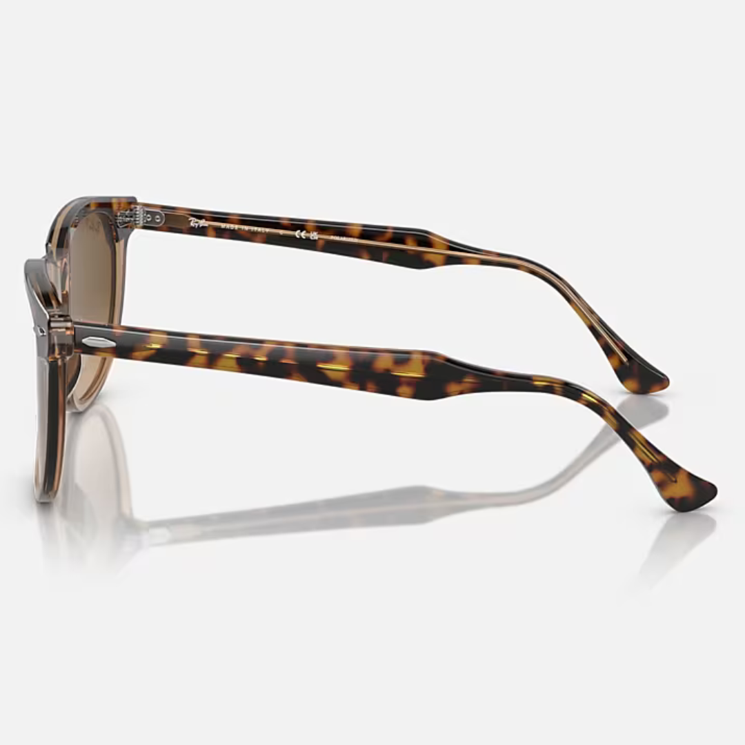 RB2398 EAGLE EYE | HAVANA on TRANSPARENT BROWN