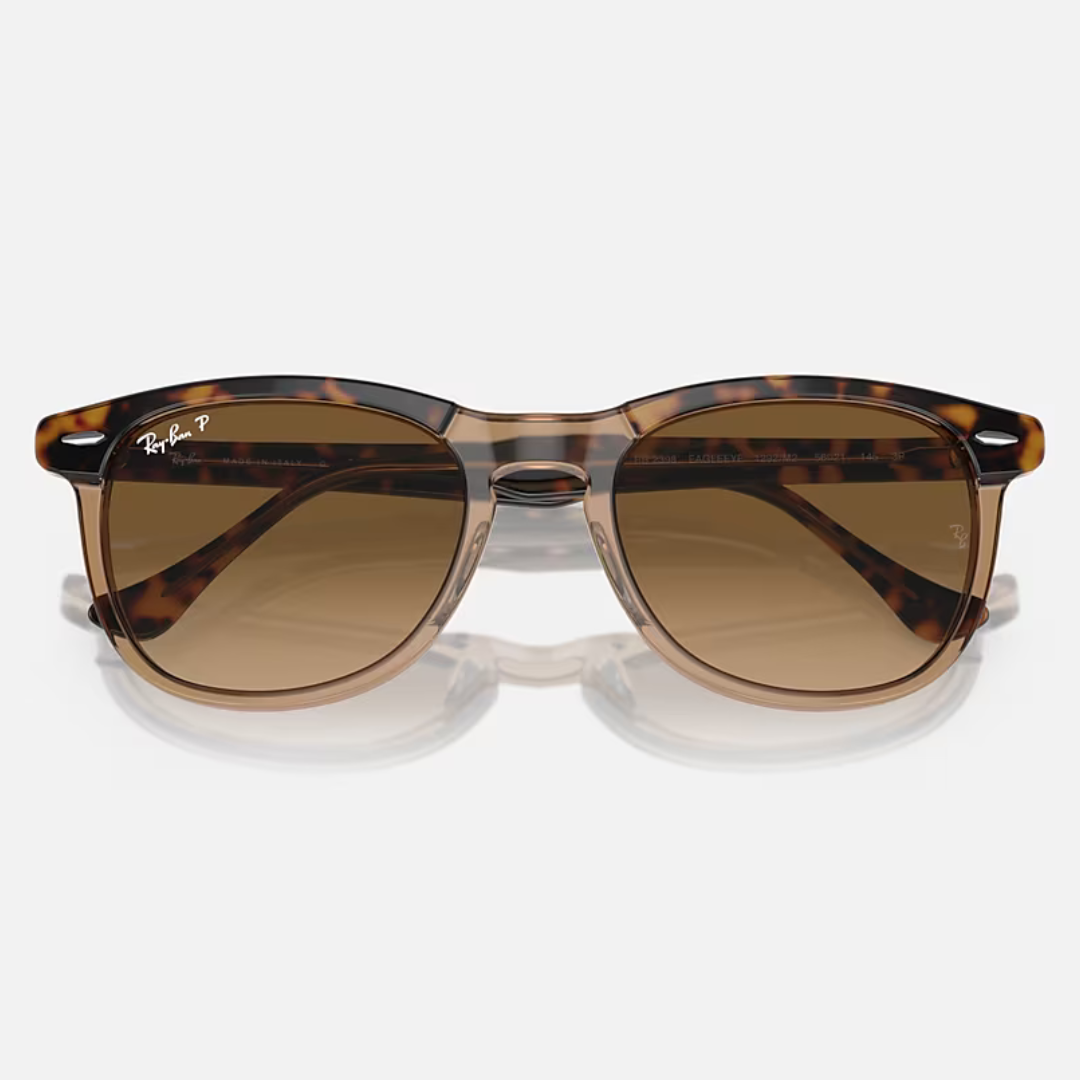 RB2398 EAGLE EYE | HAVANA on TRANSPARENT BROWN