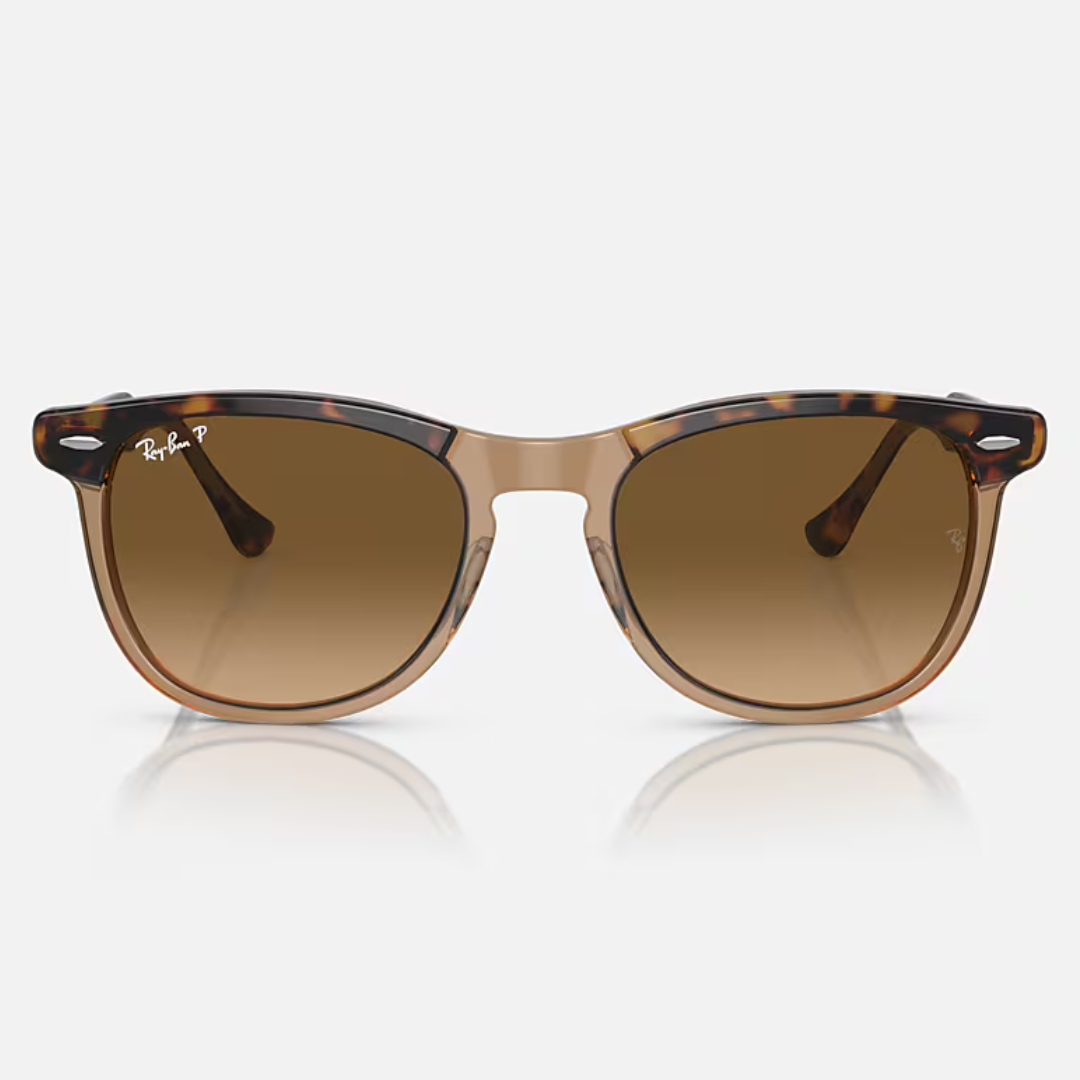 RB2398 EAGLE EYE | HAVANA on TRANSPARENT BROWN