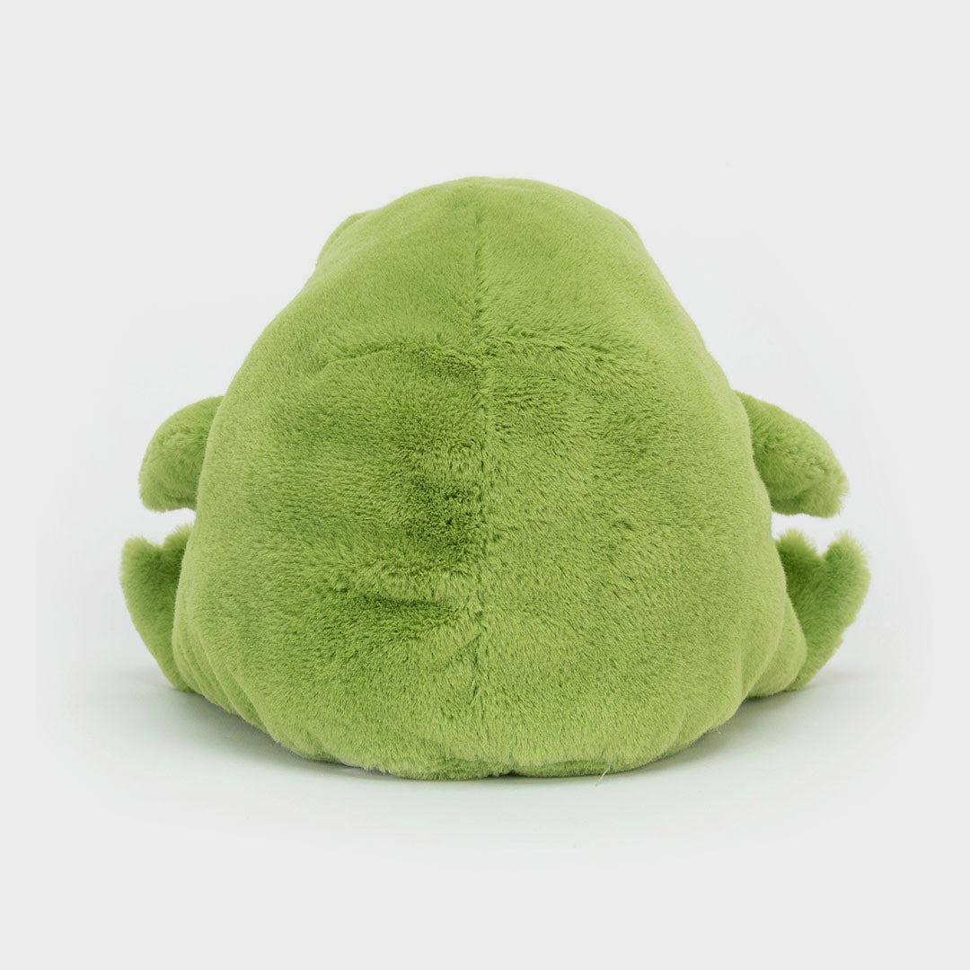 Ricky Rain Frog | Medium