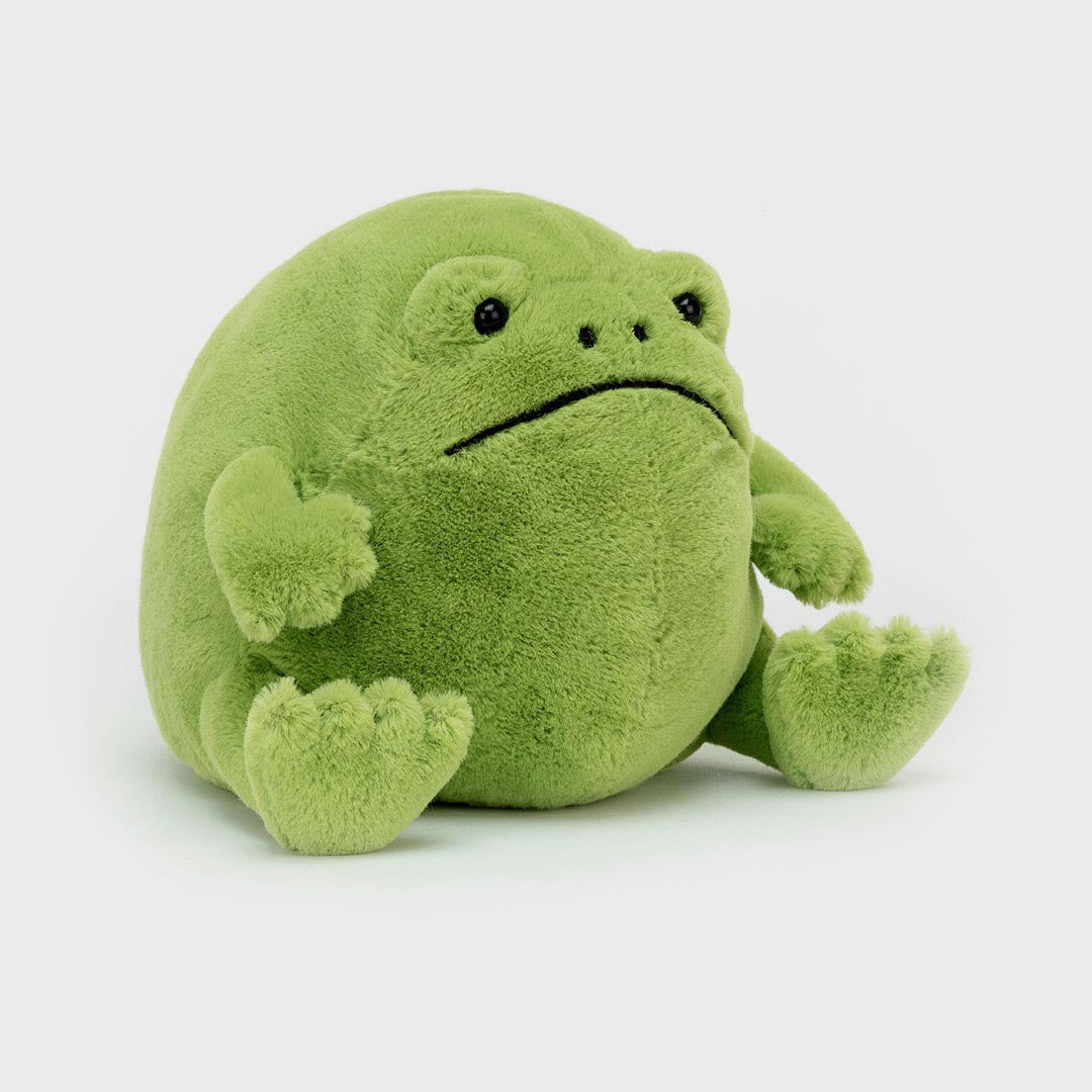 Ricky Rain Frog | Medium