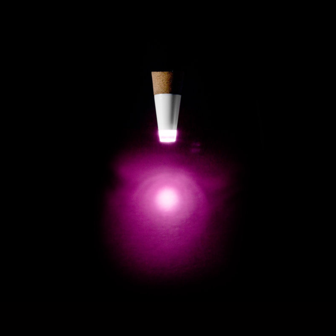 LED BOTTLE LIGHT | MULTICOLOUR