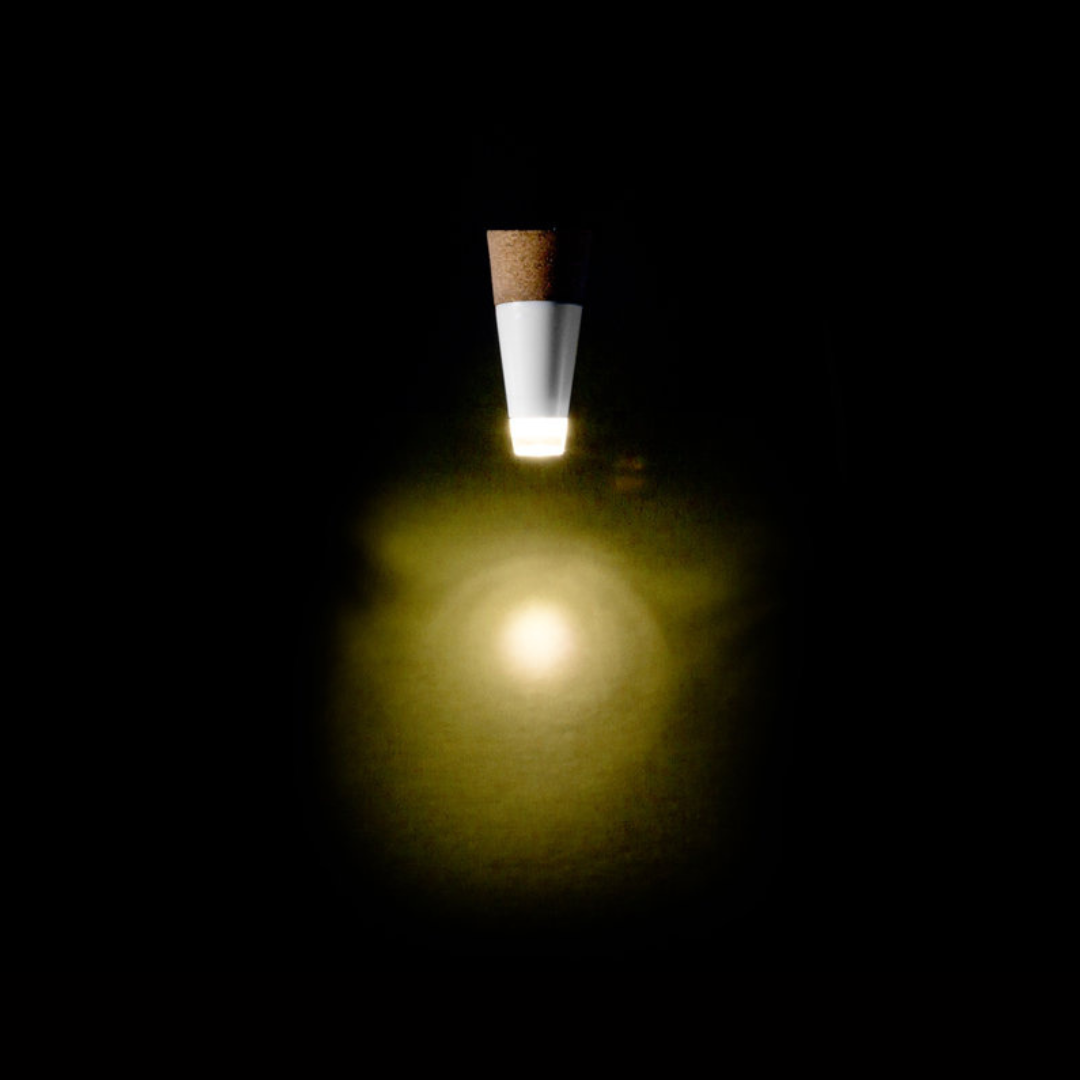 LED BOTTLE LIGHT | MULTICOLOUR