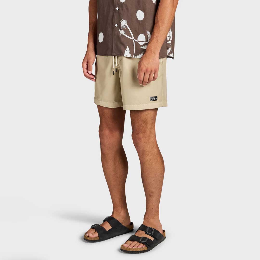 Teamster Boardy | Praline