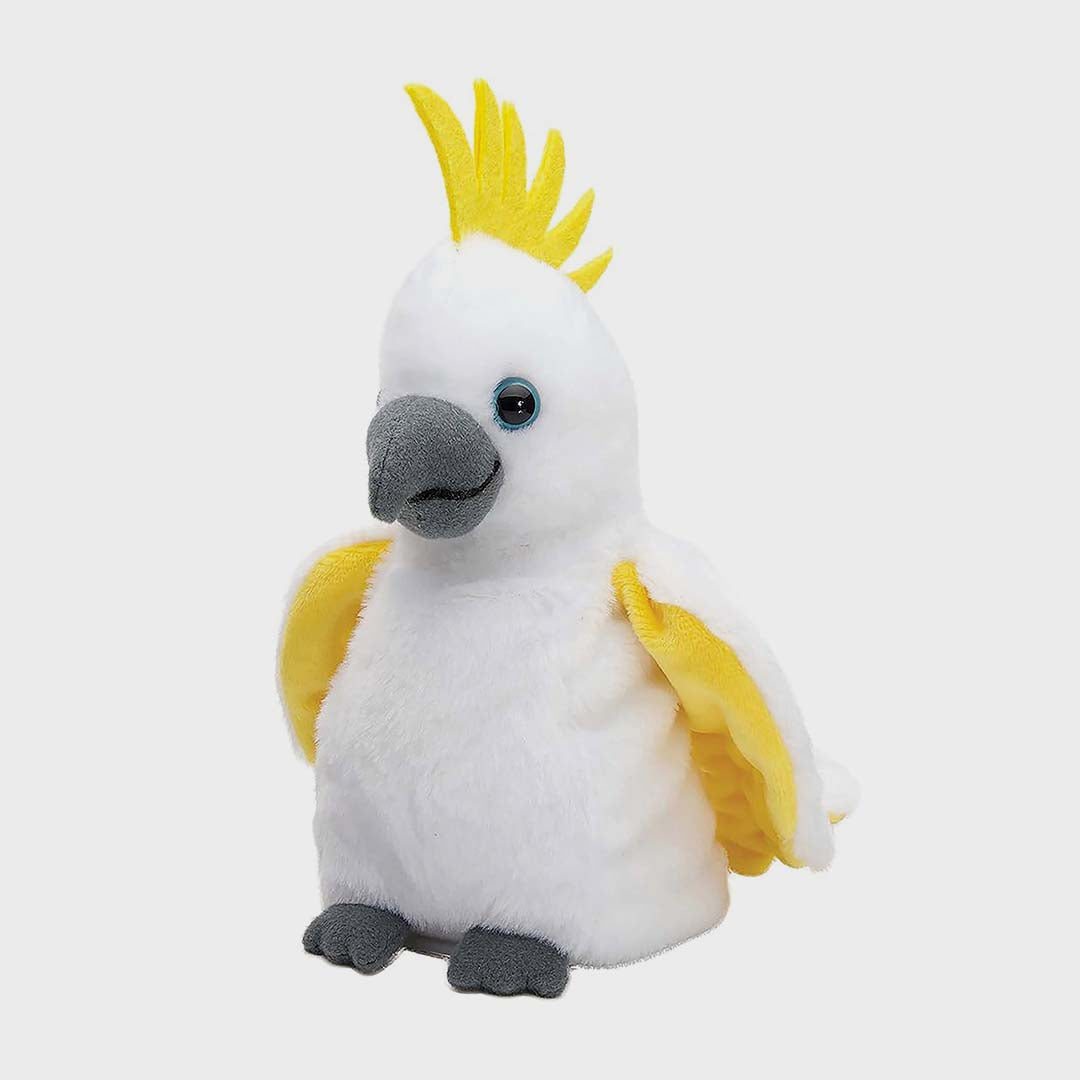 Chattermate | Cockatoo