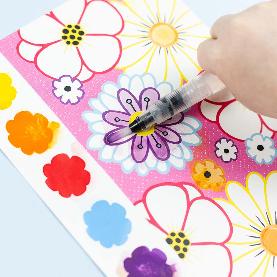 Paint a Picture Set | Butterflies & Flowers