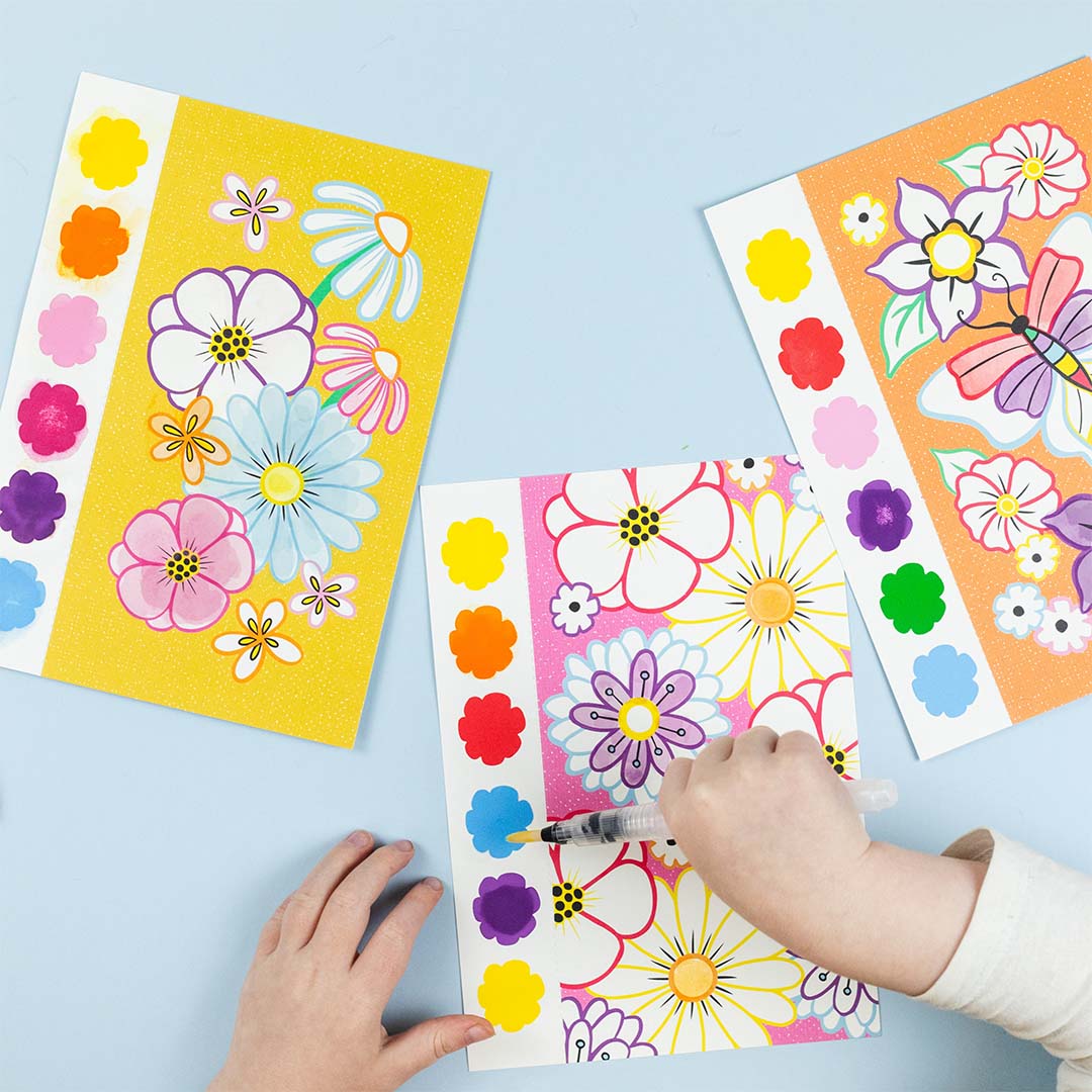Paint a Picture Set | Butterflies & Flowers