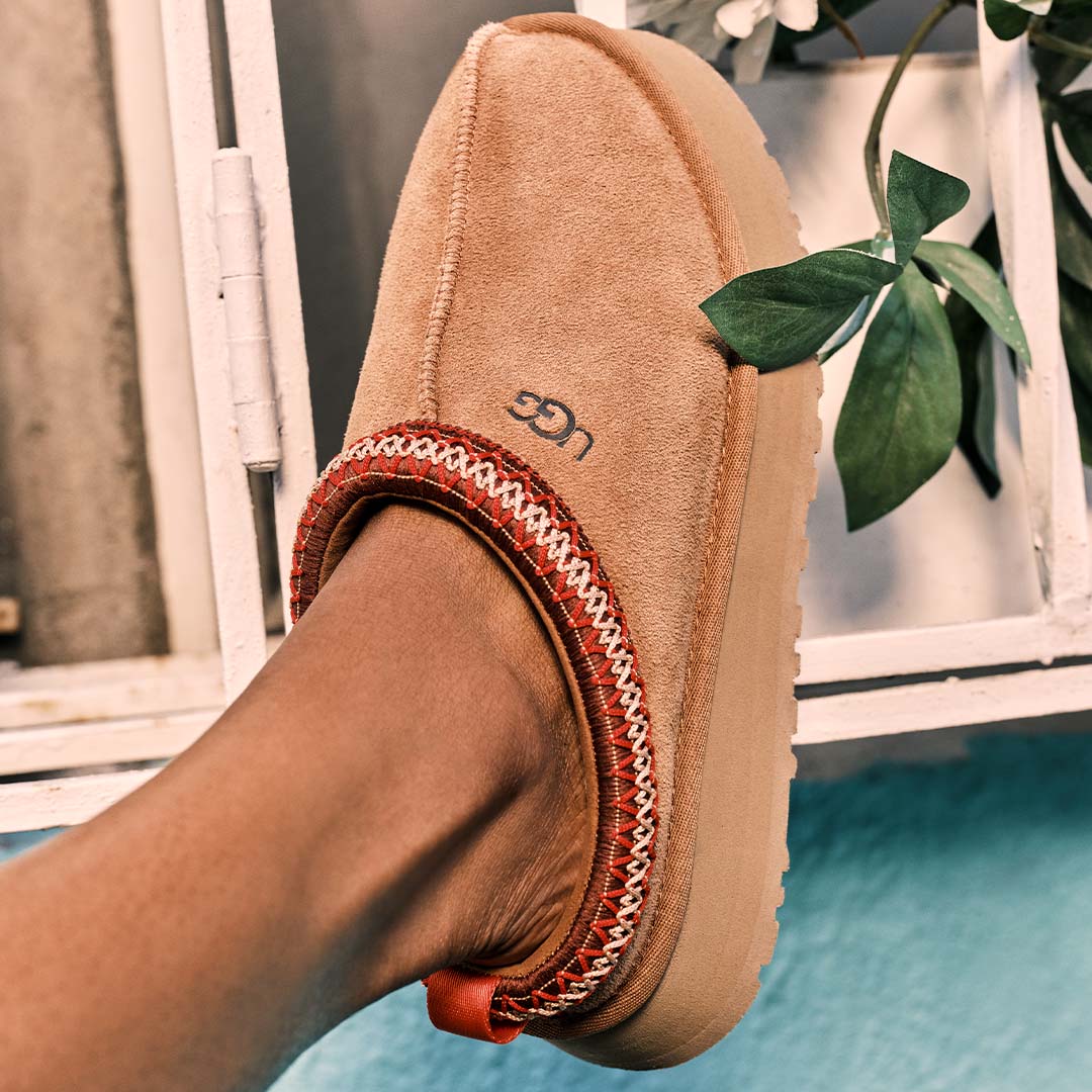TAZZ | CHESTNUT
