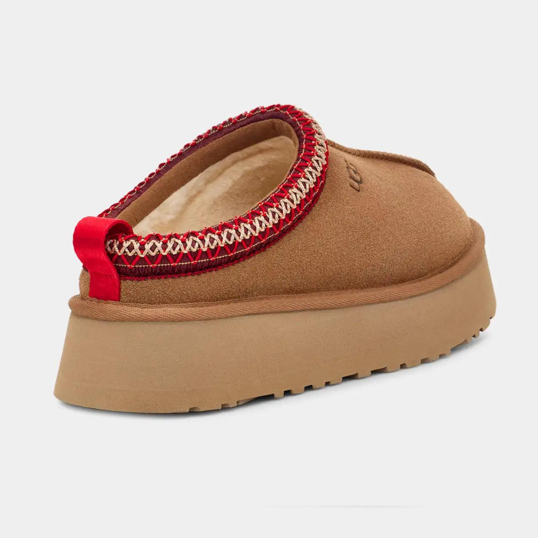 TAZZ | CHESTNUT